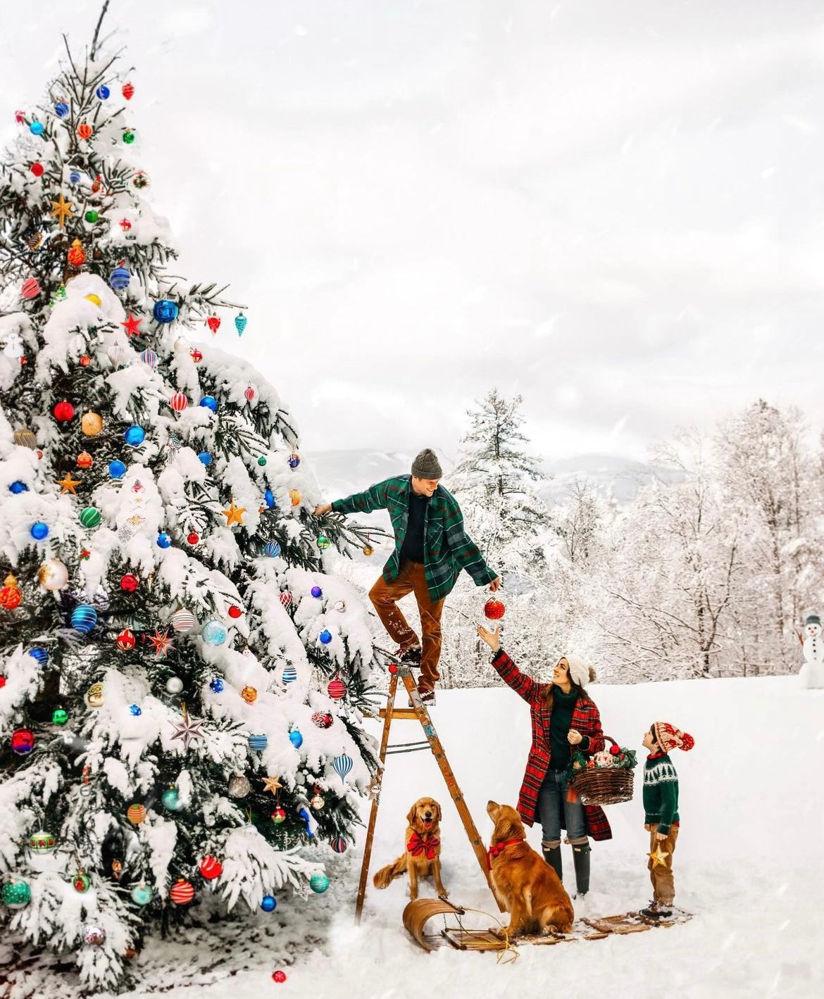 A Christmas Tree Traditionš