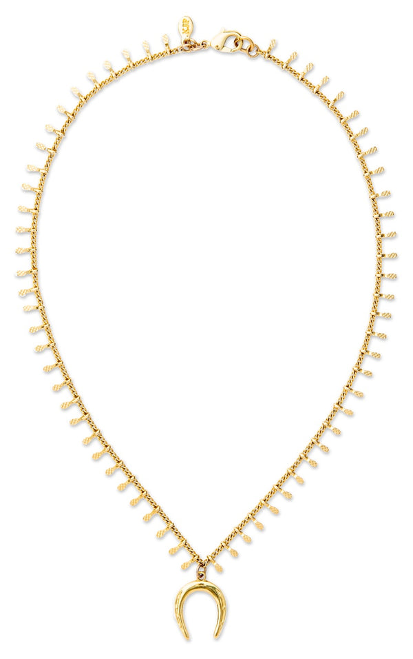 Golden Horseshoe Necklace