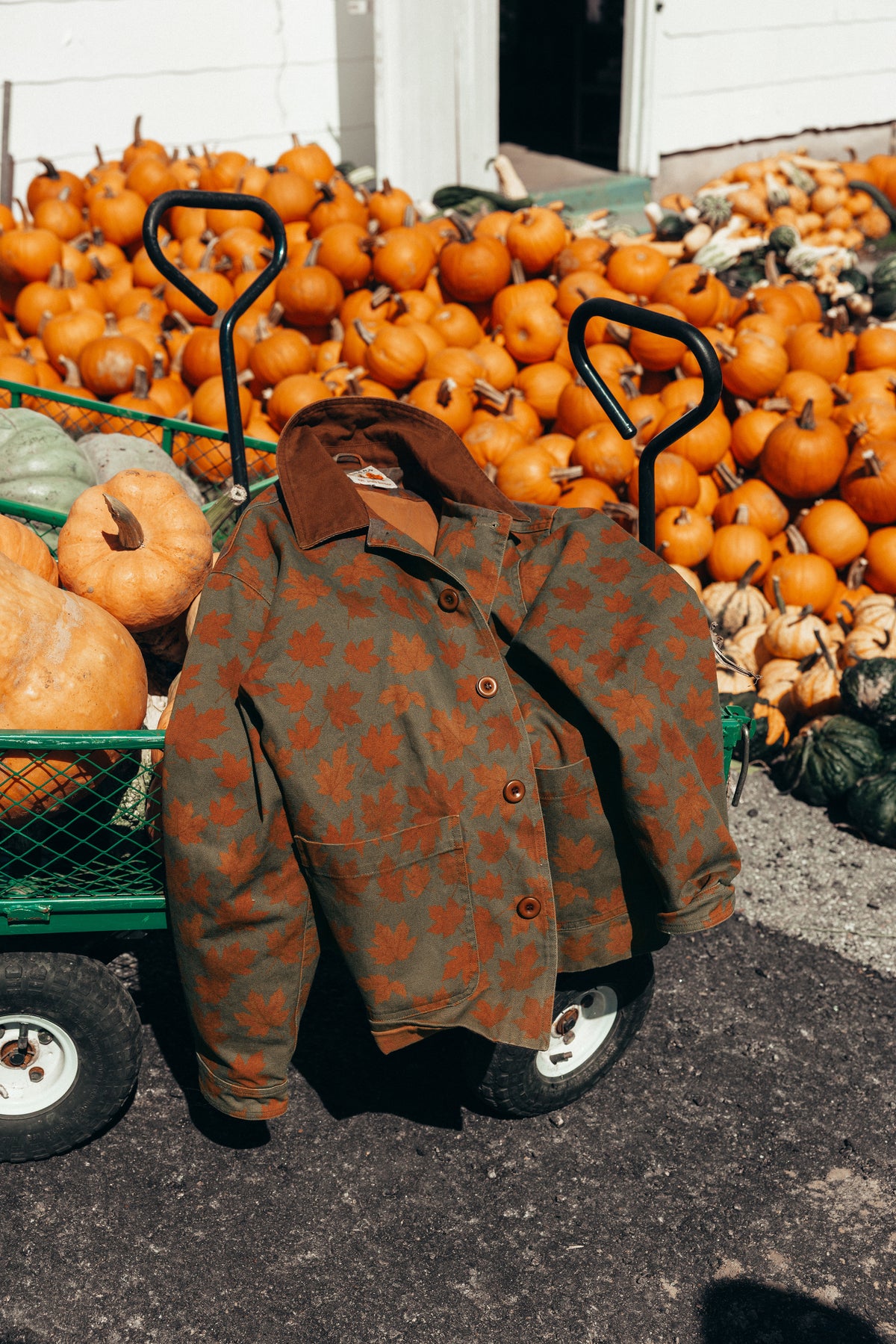 Autumn Leaves Canvas Barn Coat