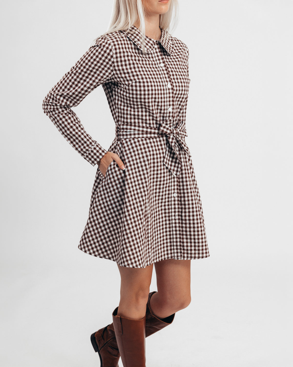 Chestnut Hill Gingham Dress