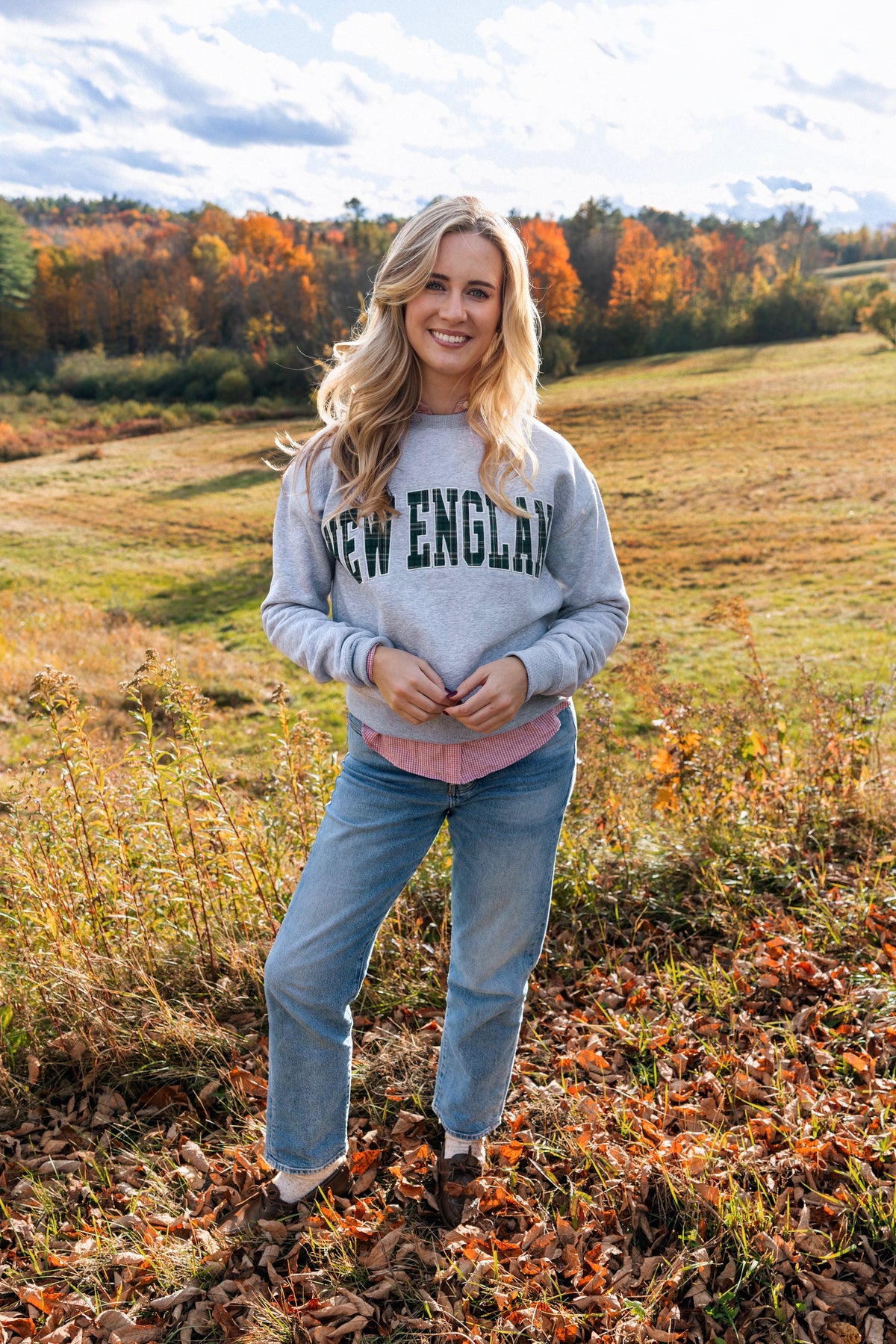 New England Varsity Cropped Sweatshirt in Grey