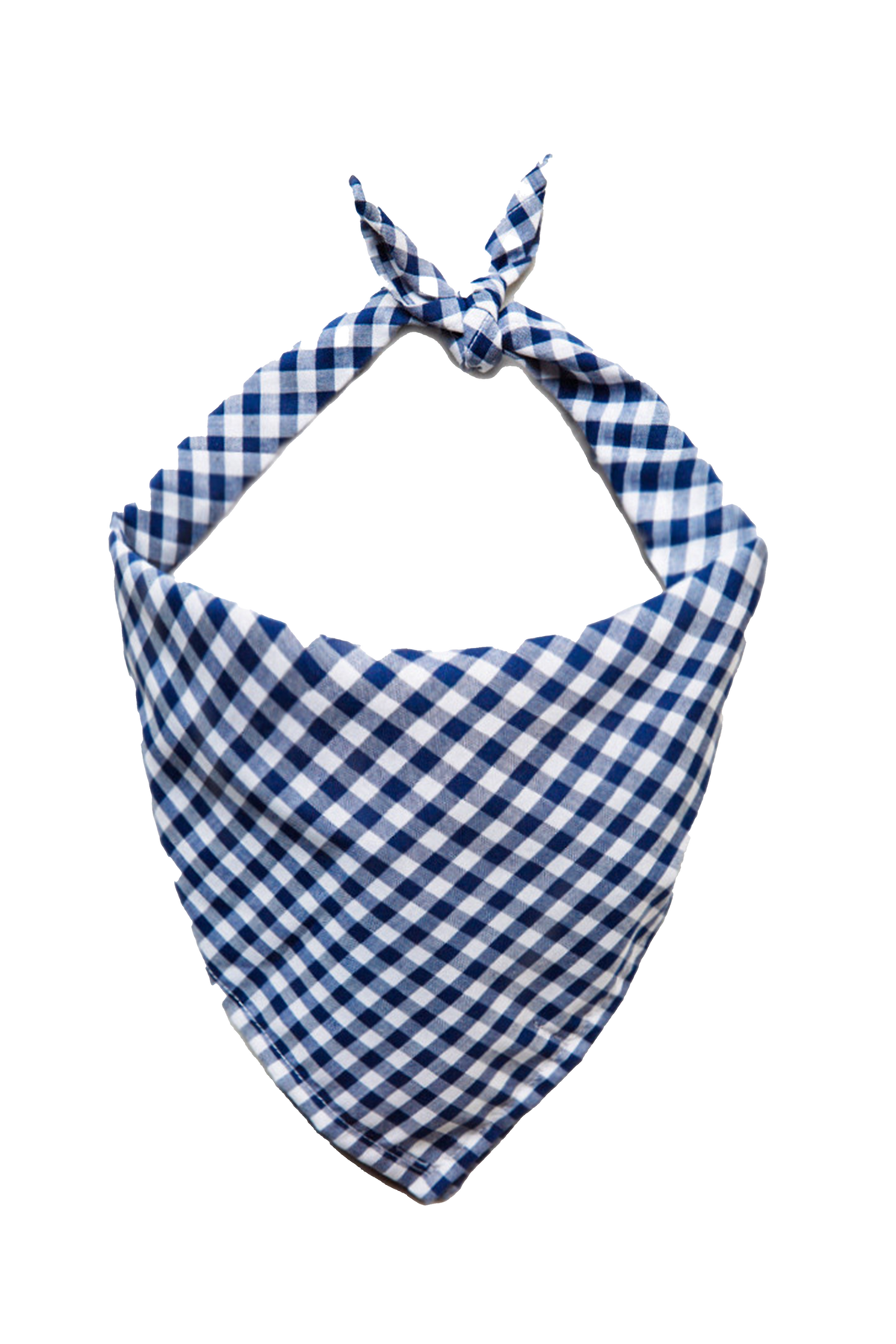 Cape Cod Picnic Dog Bandana