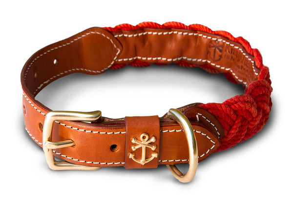 Waterproof Dog Collar - Fable Pets - Style Meets Durability & Safety - Tan / Xs