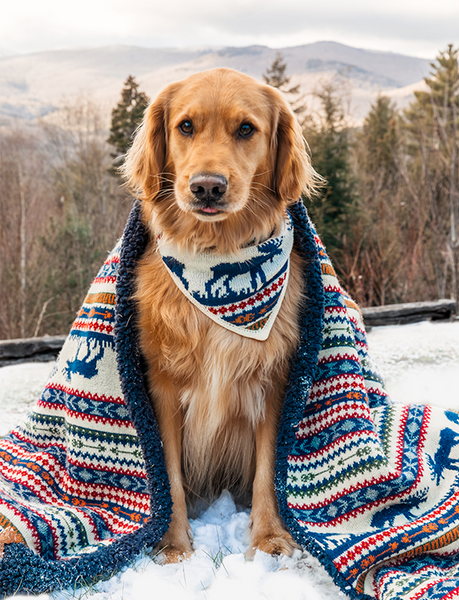 KJP The Great Moose Knit Dog Bandana in White, Blue, Red – Kiel