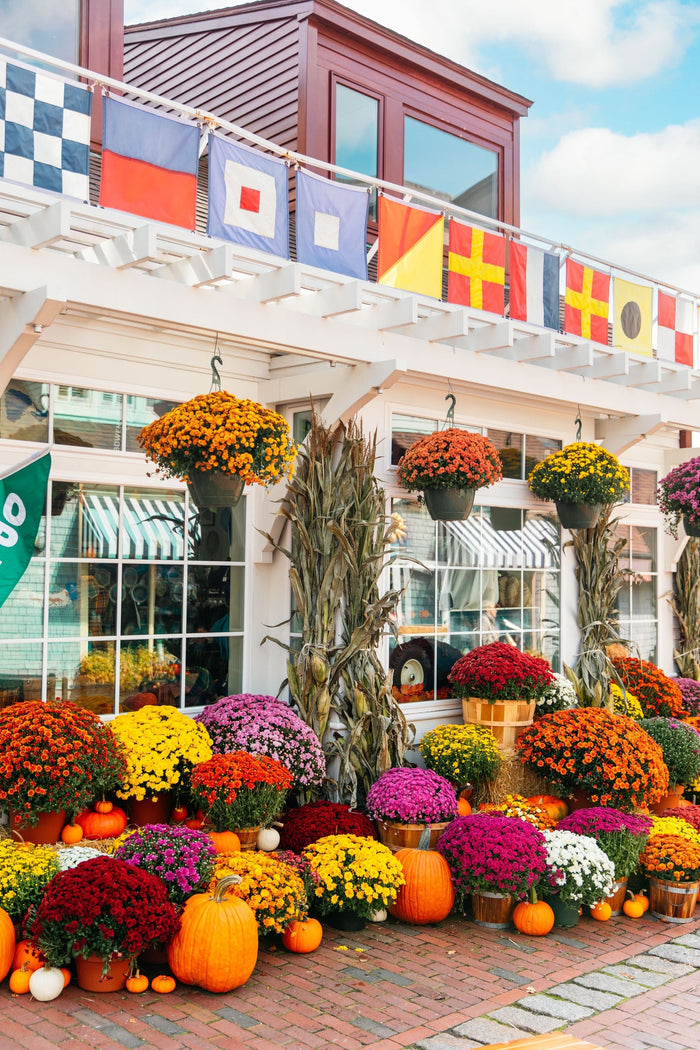 Storefront at Kiel James Patrick's Flagship in Newport, RI