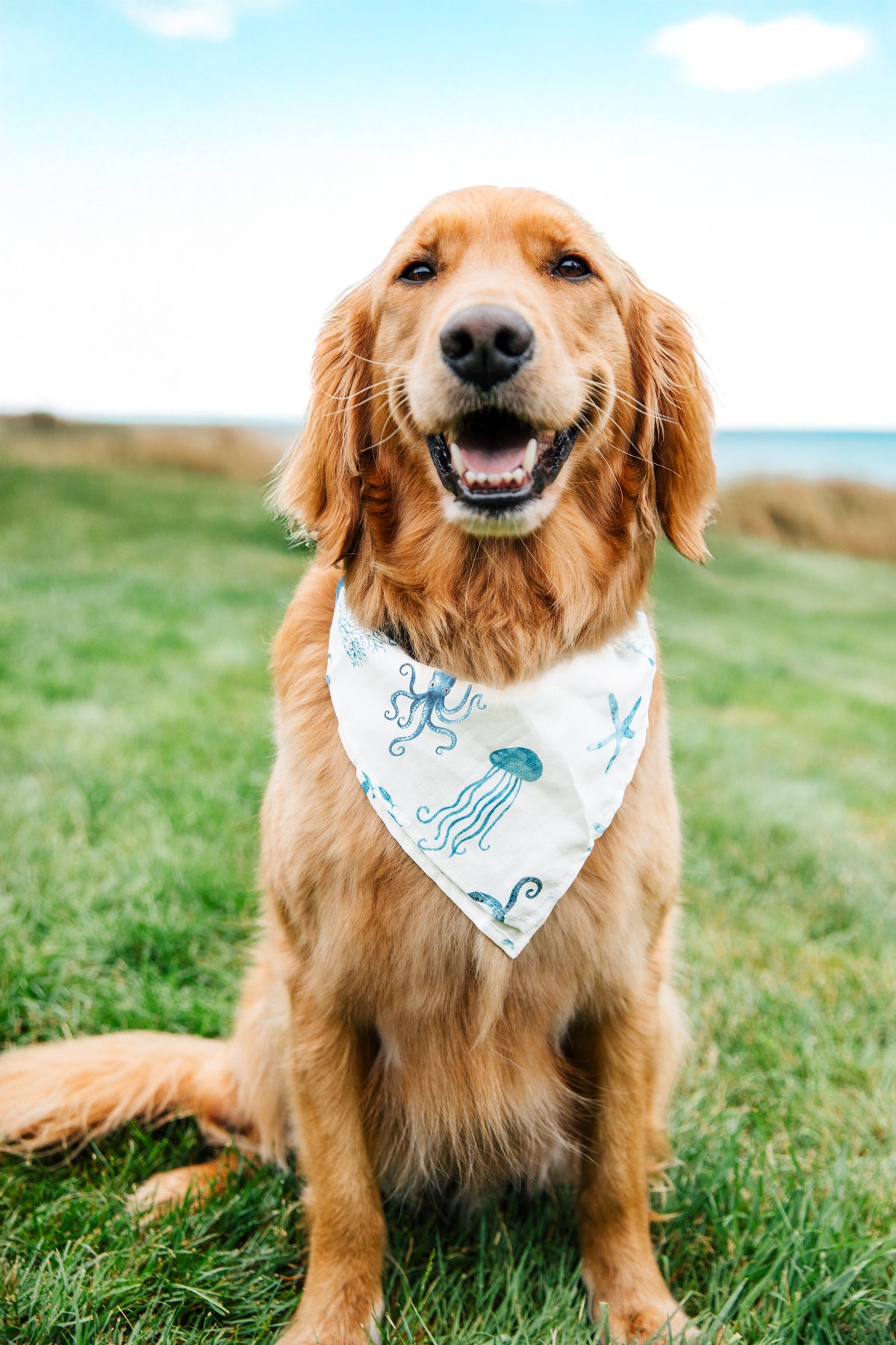 Octopus Garden Dog Bandana