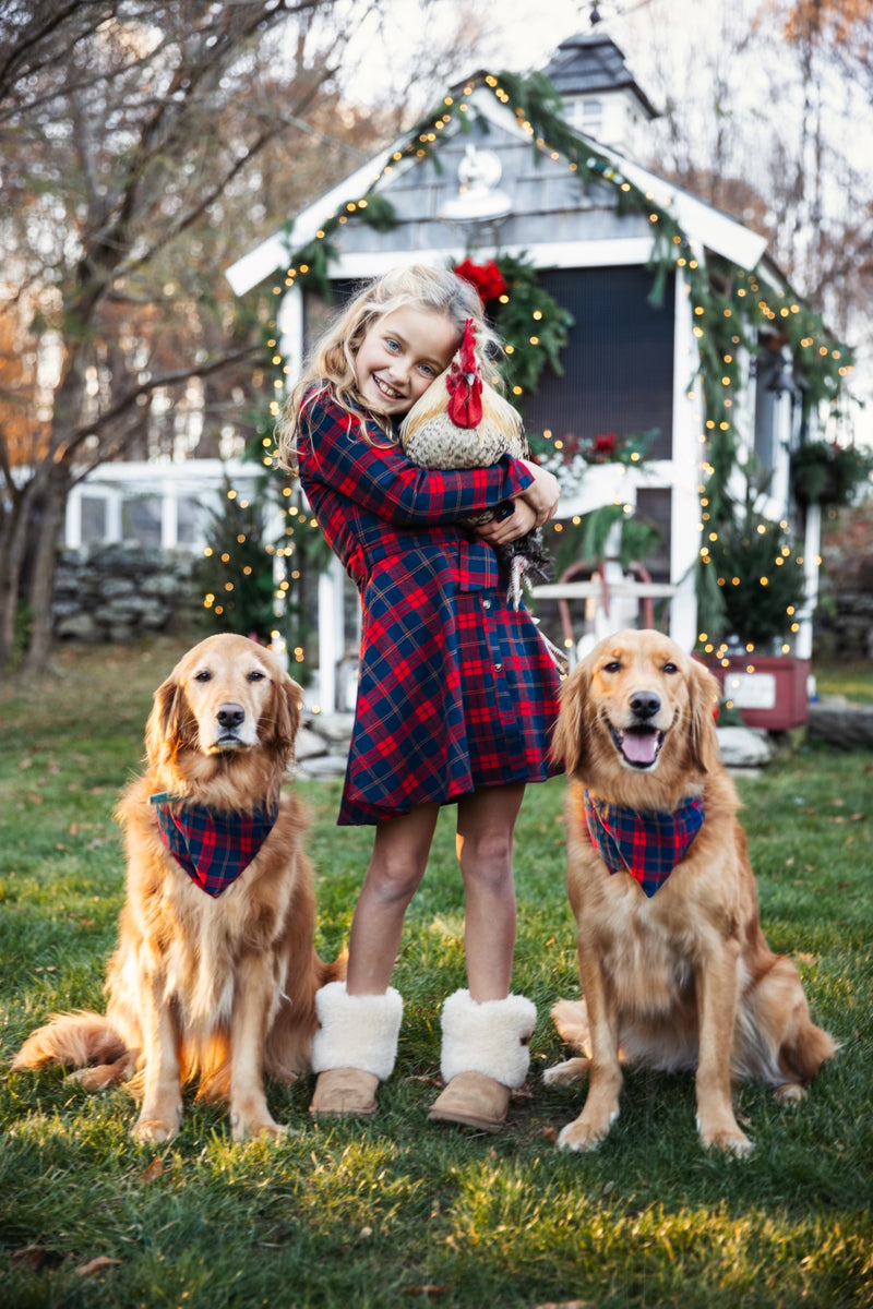 Alpine Lodge Kids Flannel Dress