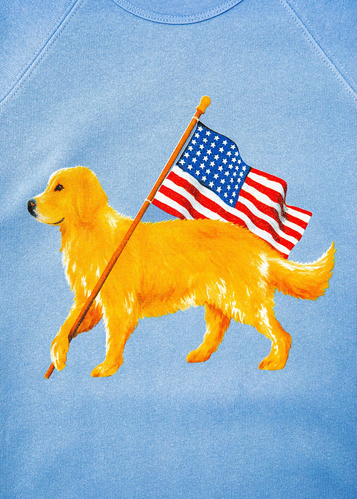 American Golden Sweatshirt in Light Blue