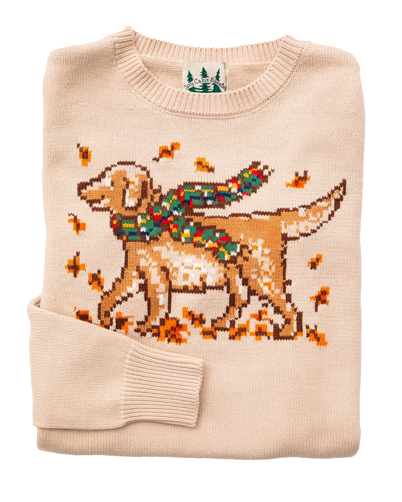 Autumn Stroll Sweater