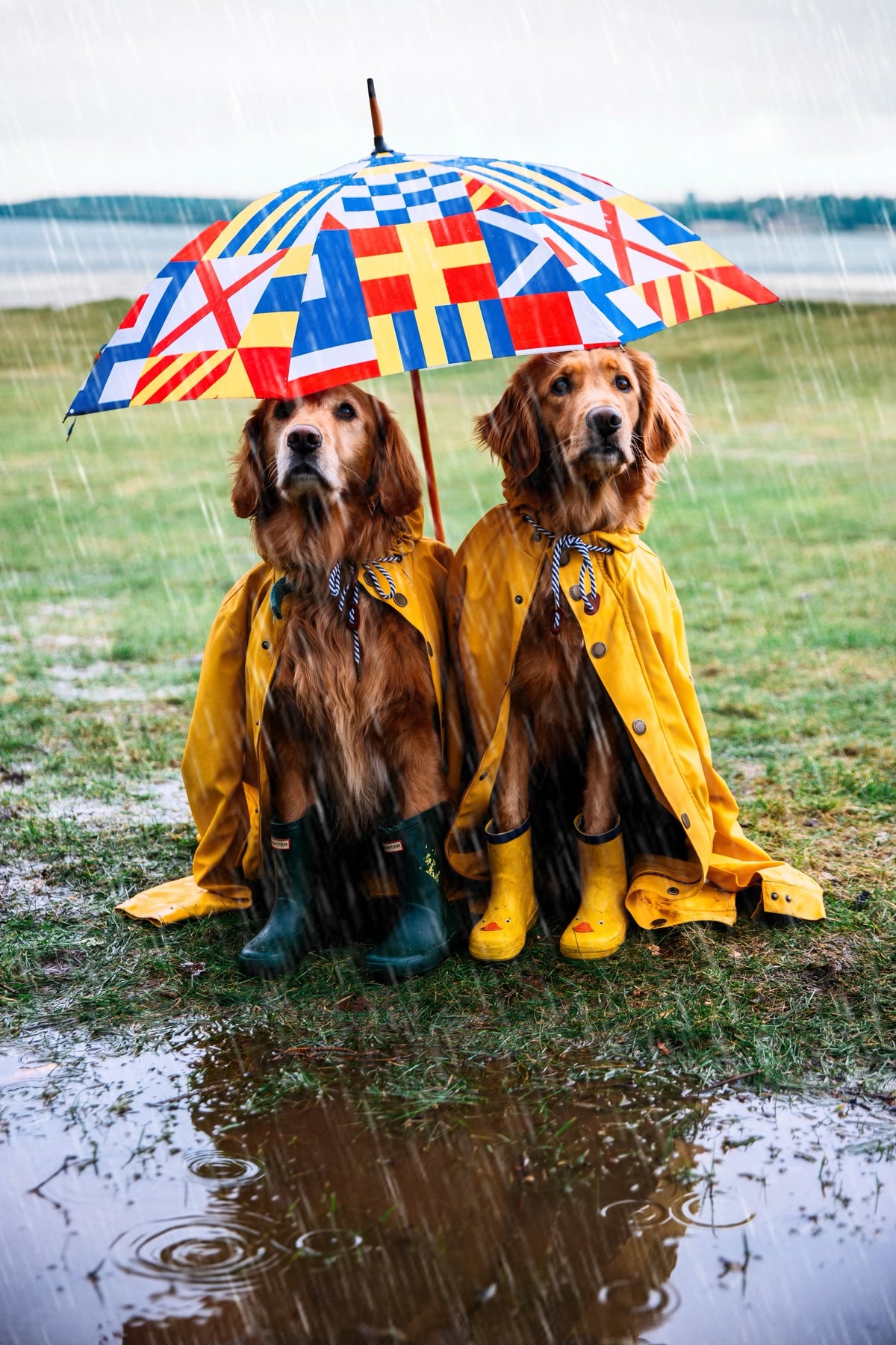 The Maritime  Umbrella