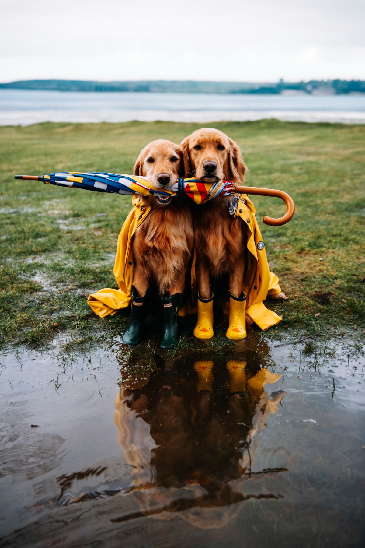 The Maritime  Umbrella