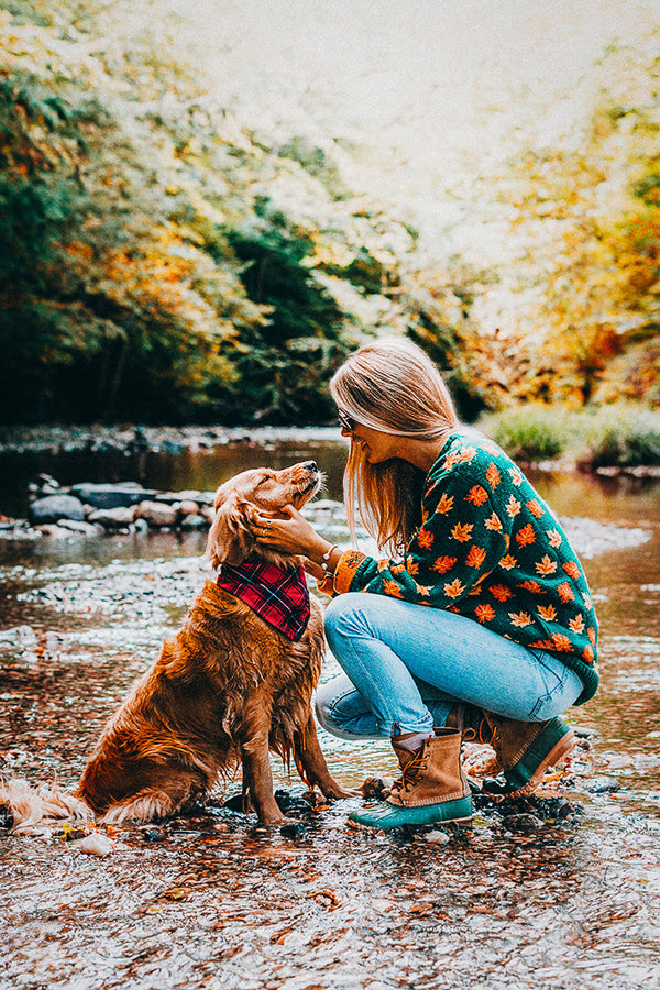 KJP Big Cozy Fall Leaf Crewneck Sweater – Kiel James Patrick