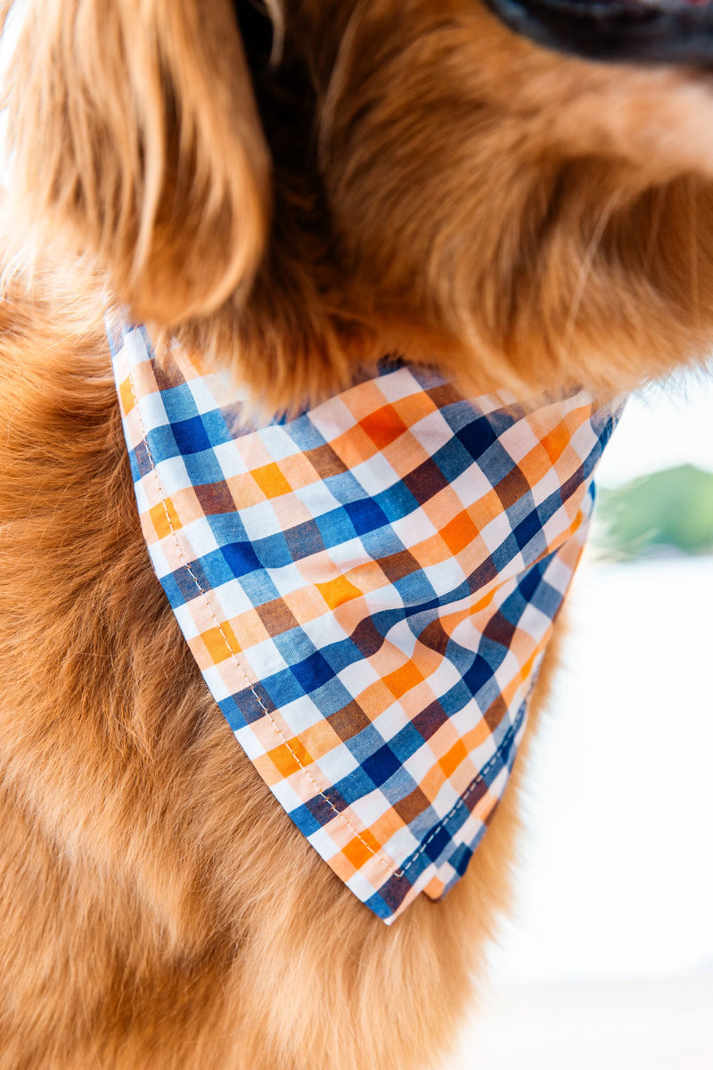 Falmouth Picnic Bandana