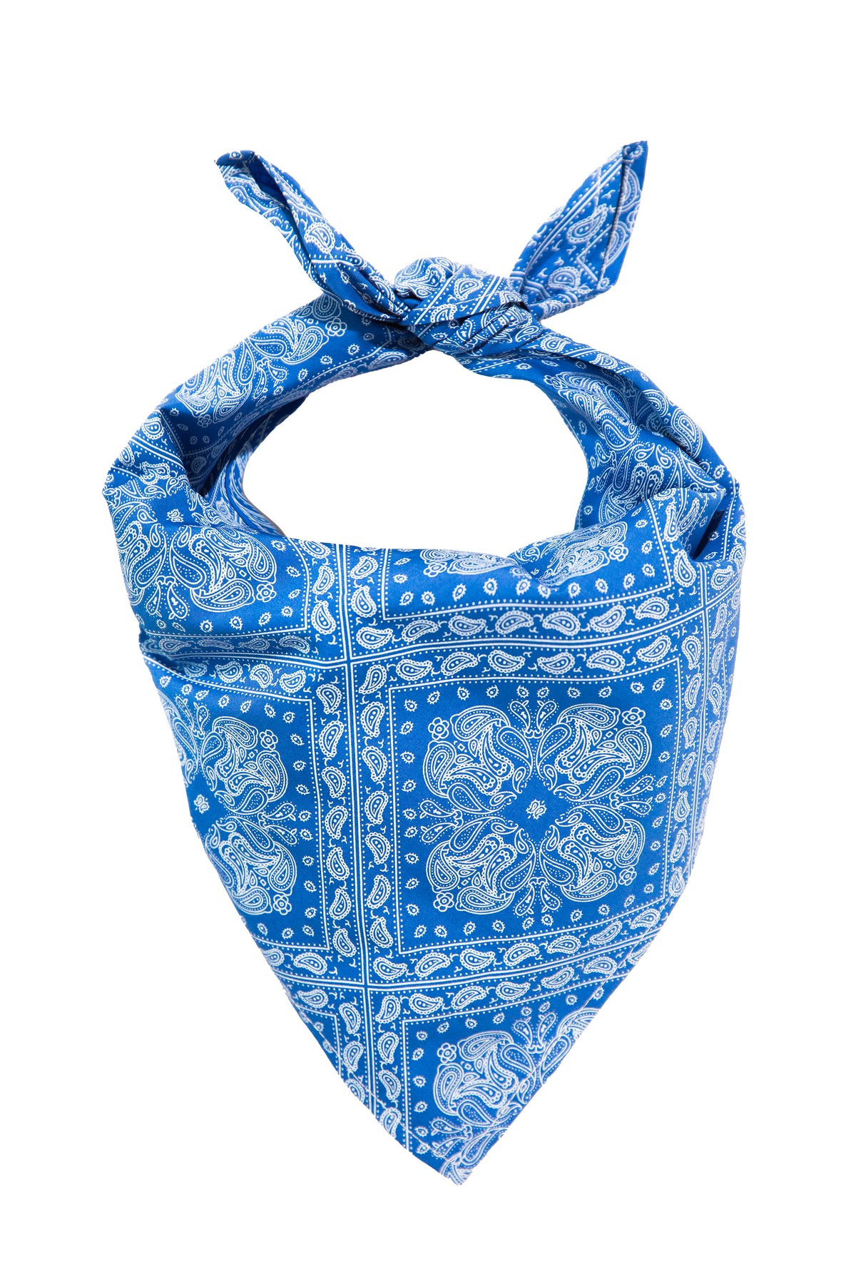 Summer Blues Dog Bandana