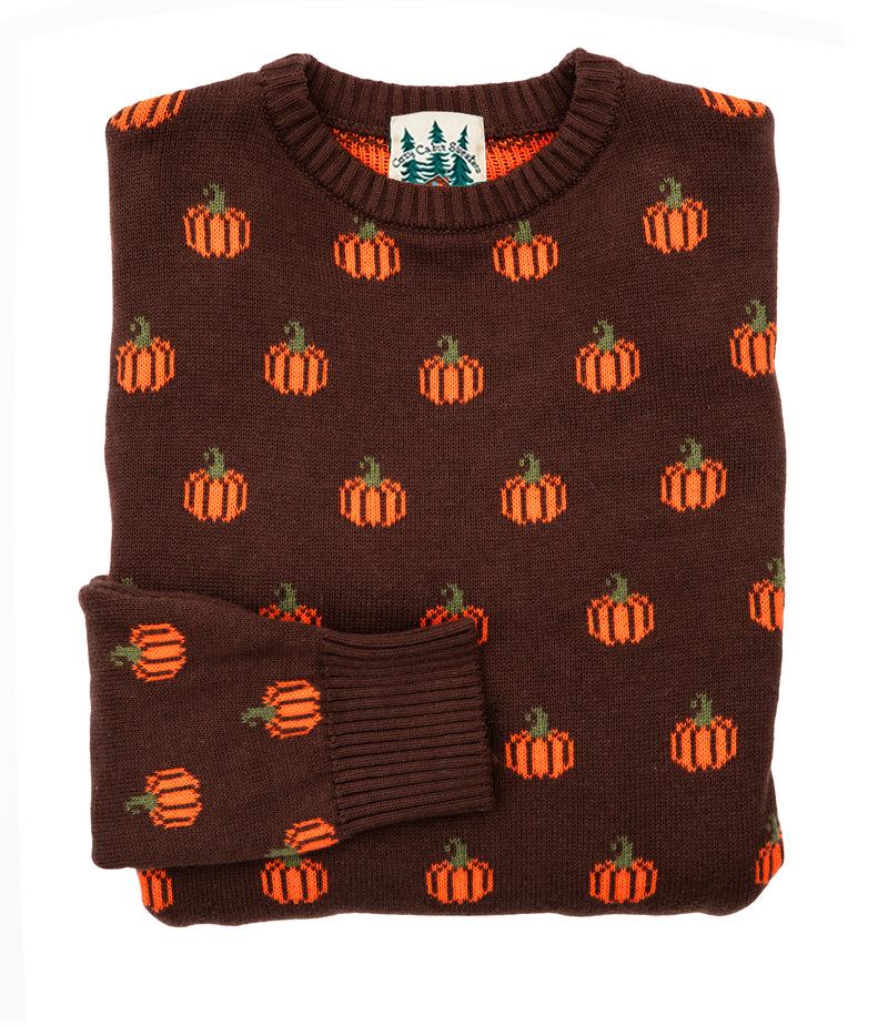 The Country Pumpkin Women's Sweater- Brown