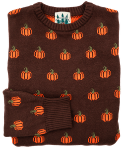 The Country Pumpkin Women's Sweater- Brown