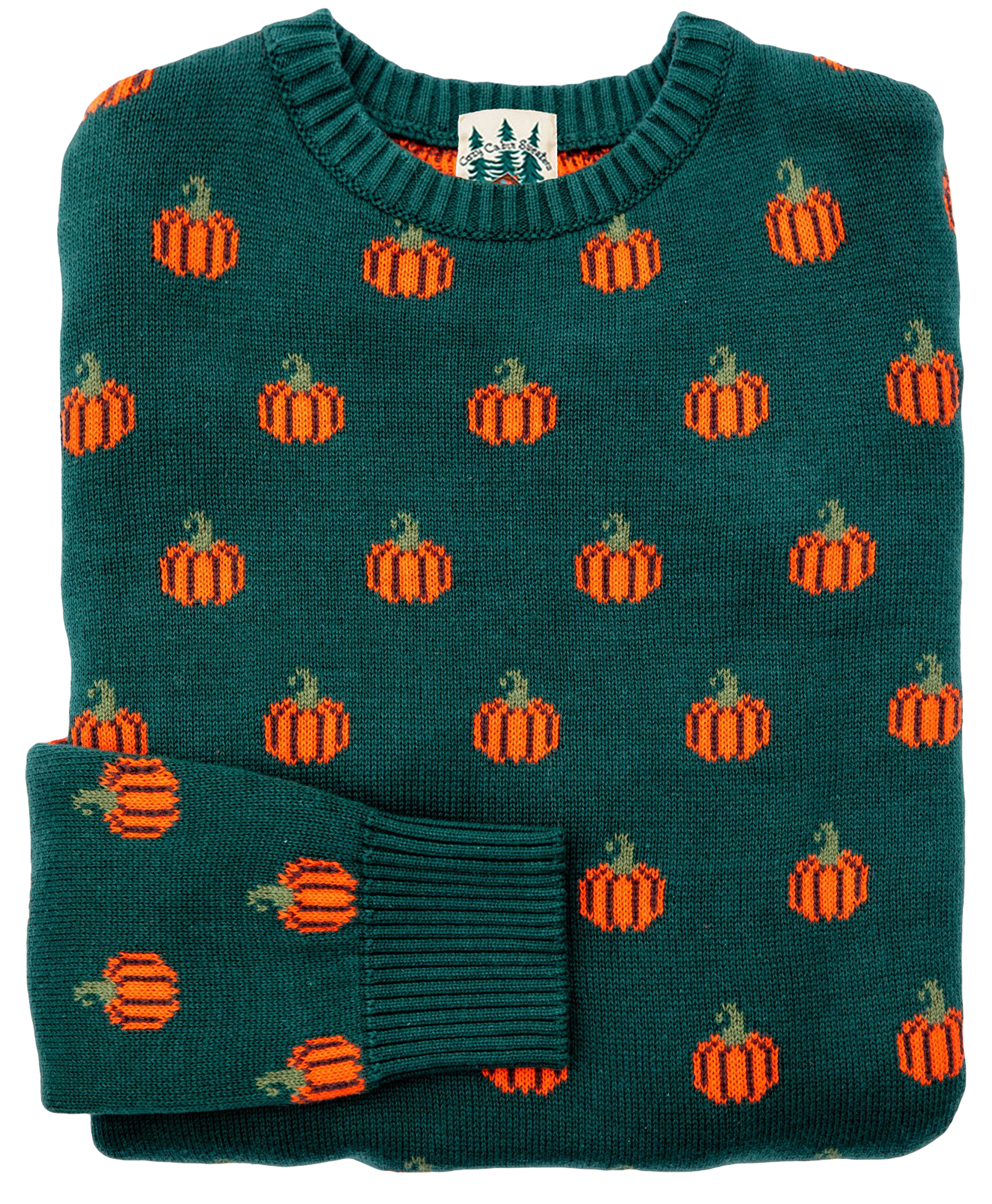 Country Pumpkin Sweater in Green - Women's