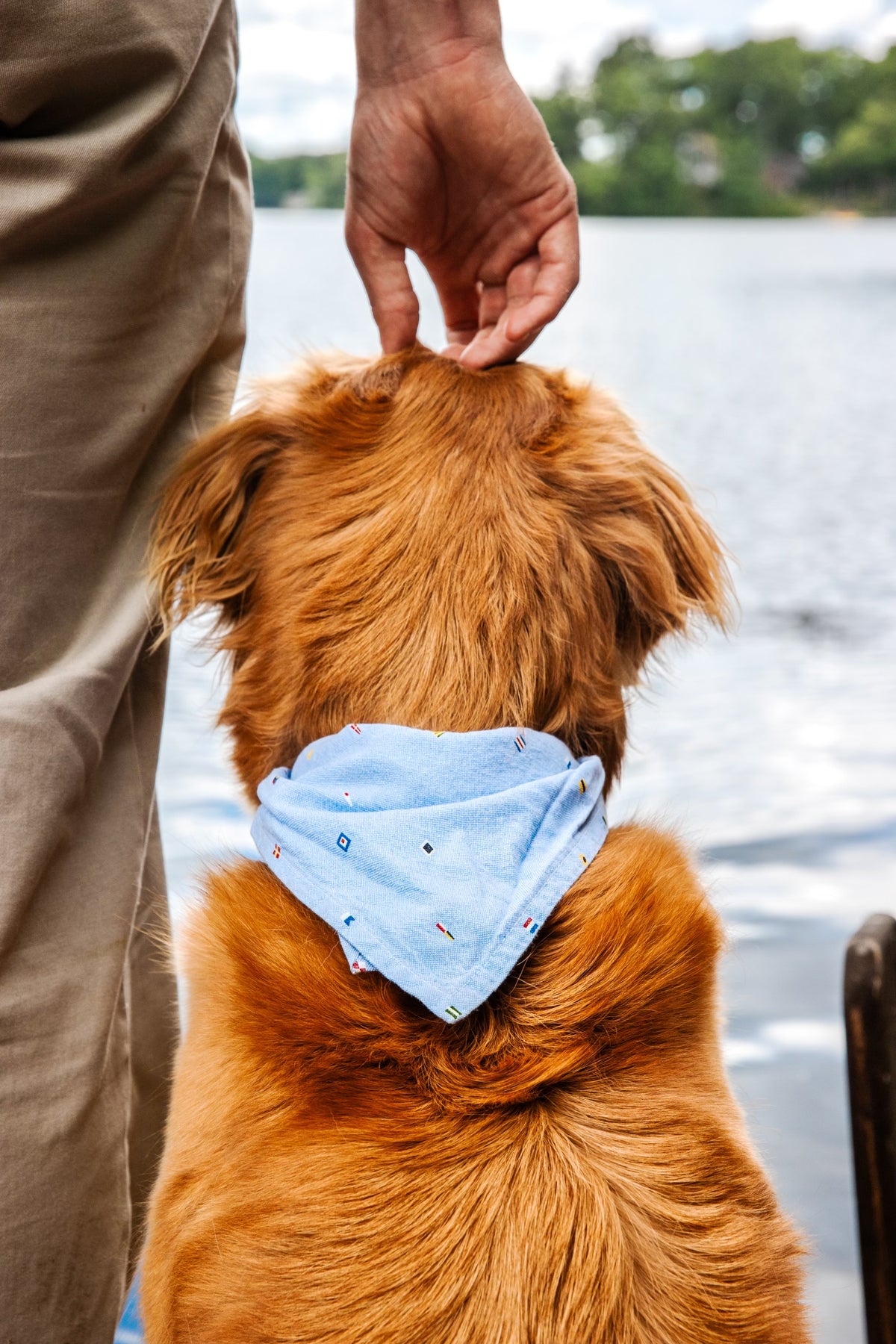 Seafari Dog Bandana