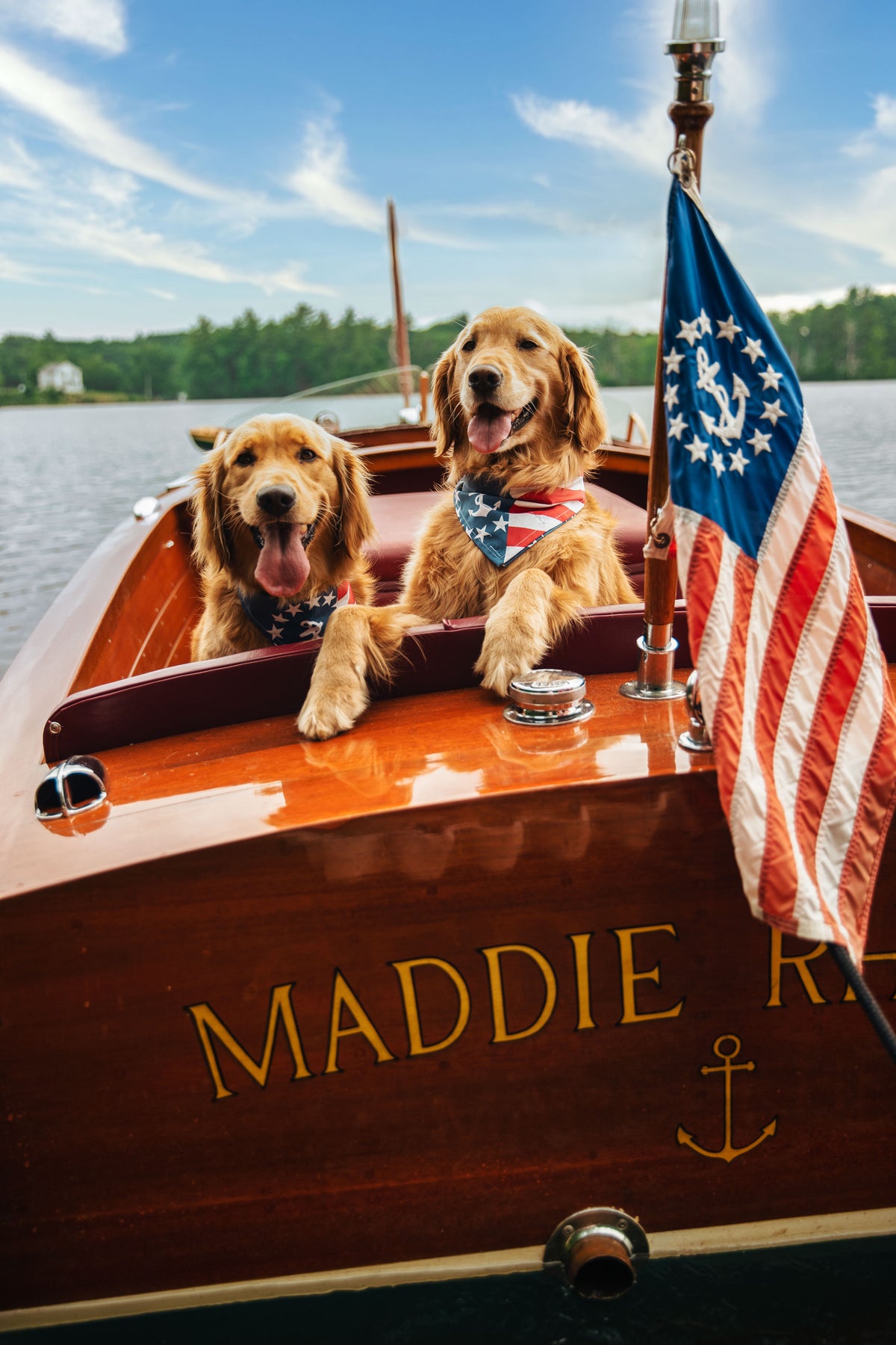 The Salty Dog
