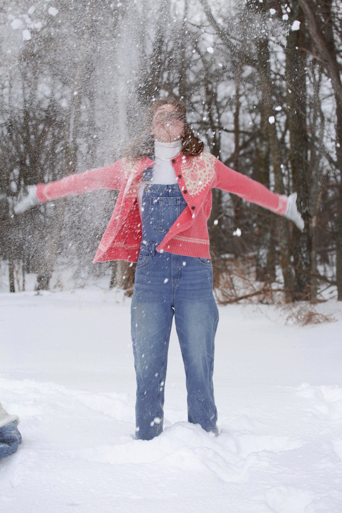 Frosted Berry Cardigan