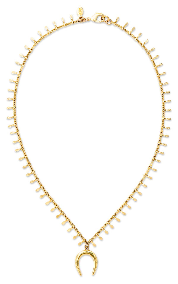 The Golden Horseshoe Necklace