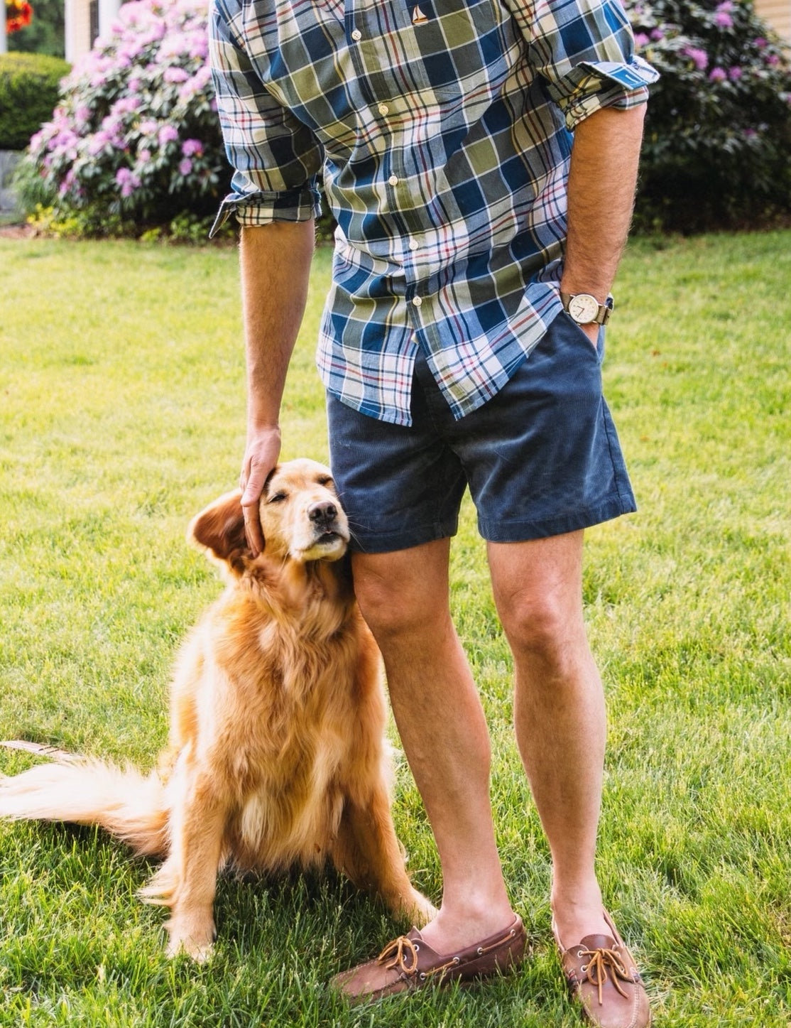 Coastal Corduroy Shorts in Blue