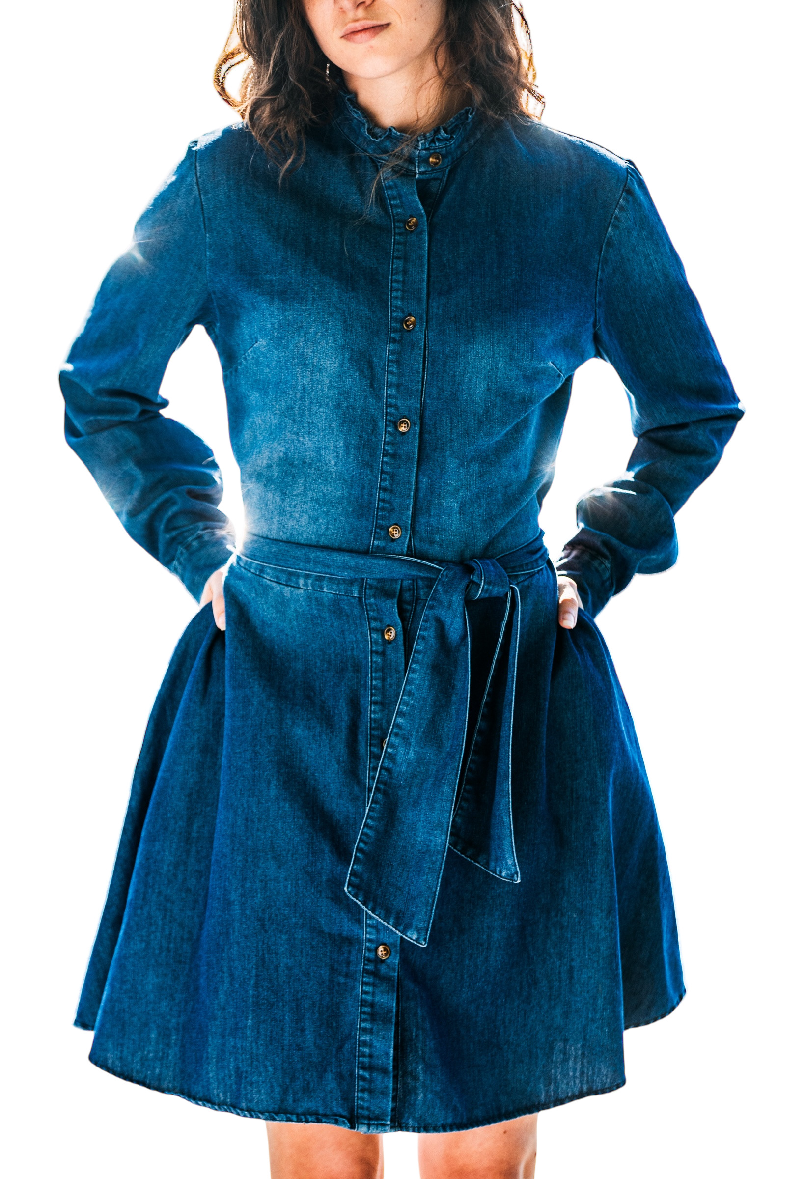 Sophie Denim Dress