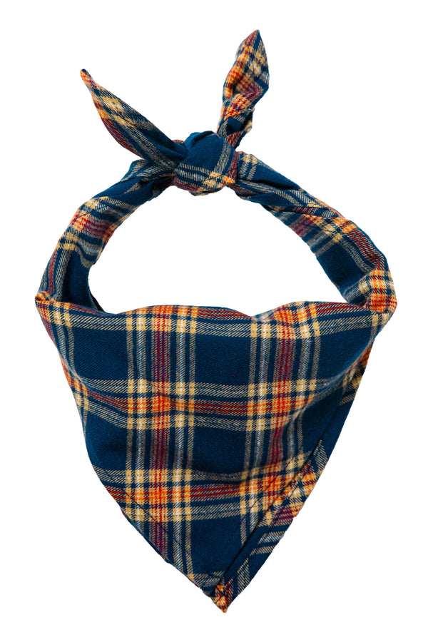 Acadia Coast Flannel Dog Bandana
