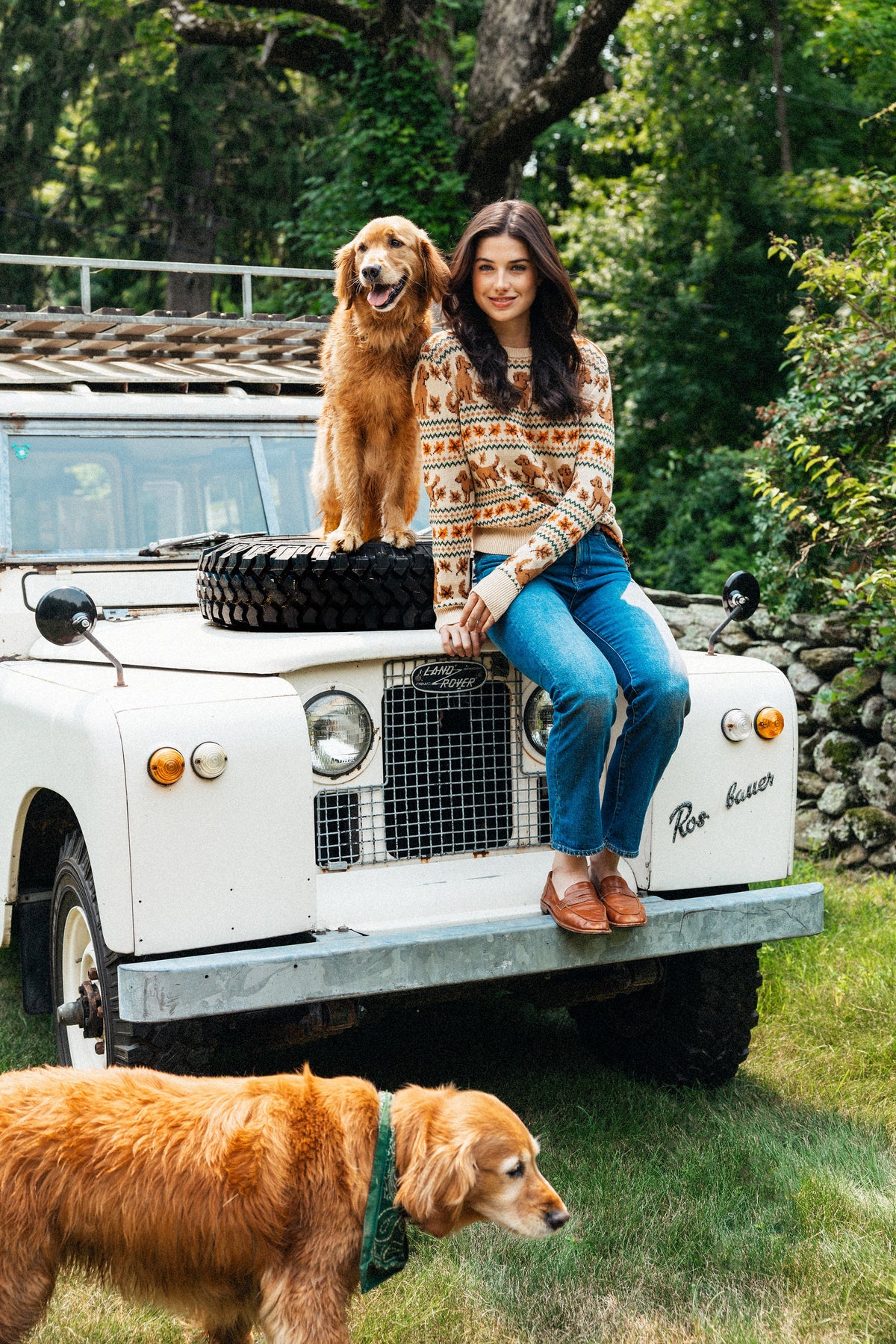 Autumn Retriever Sweater