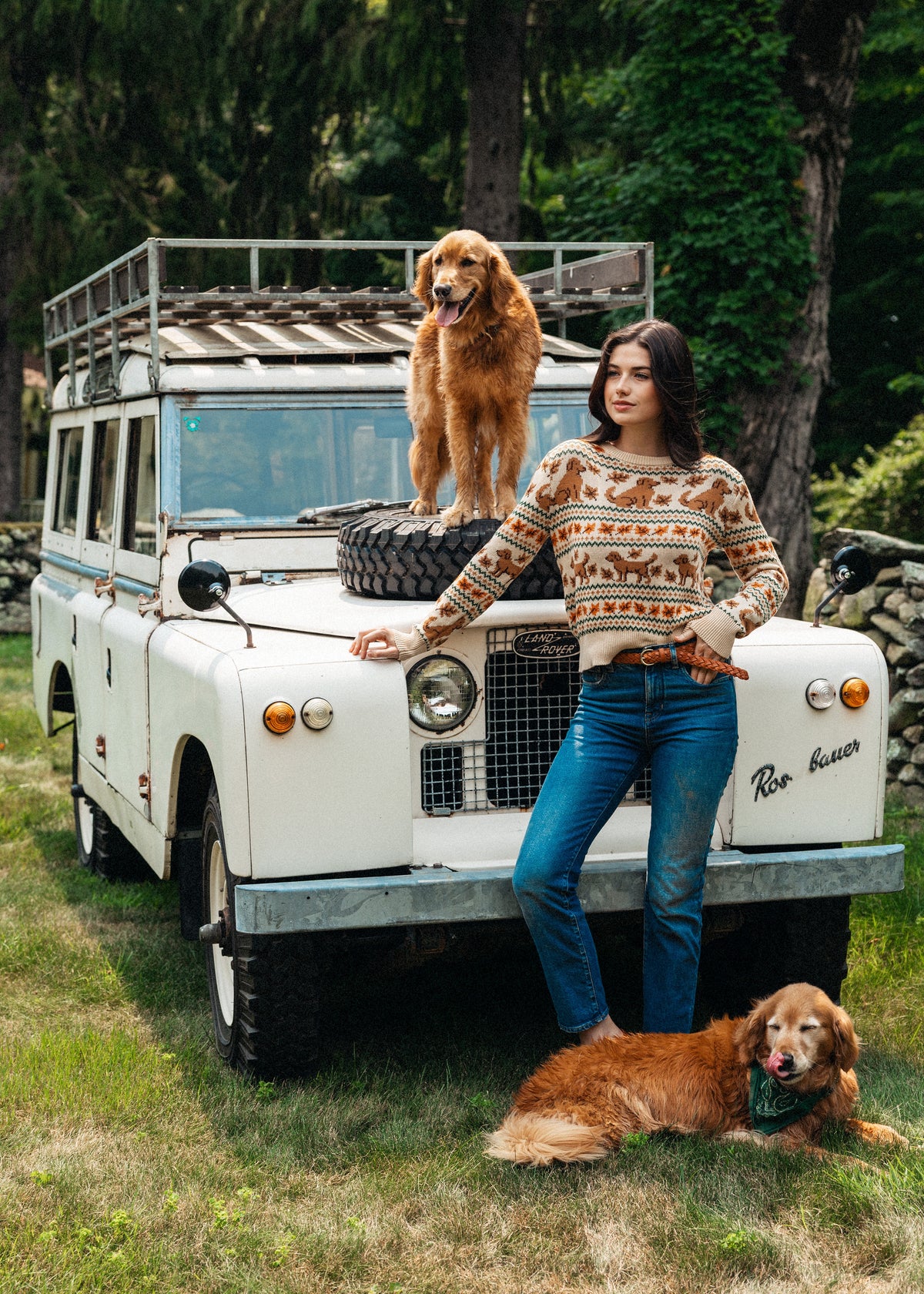 Autumn Retriever Sweater