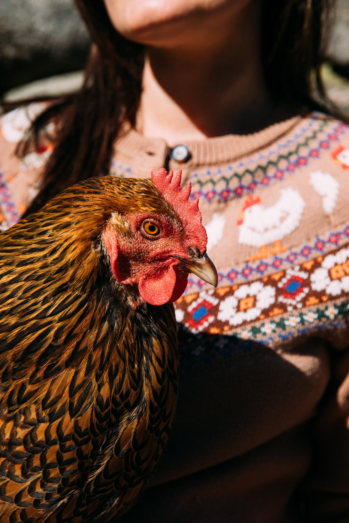 The Countryside Hen Fair Isle Cardigan