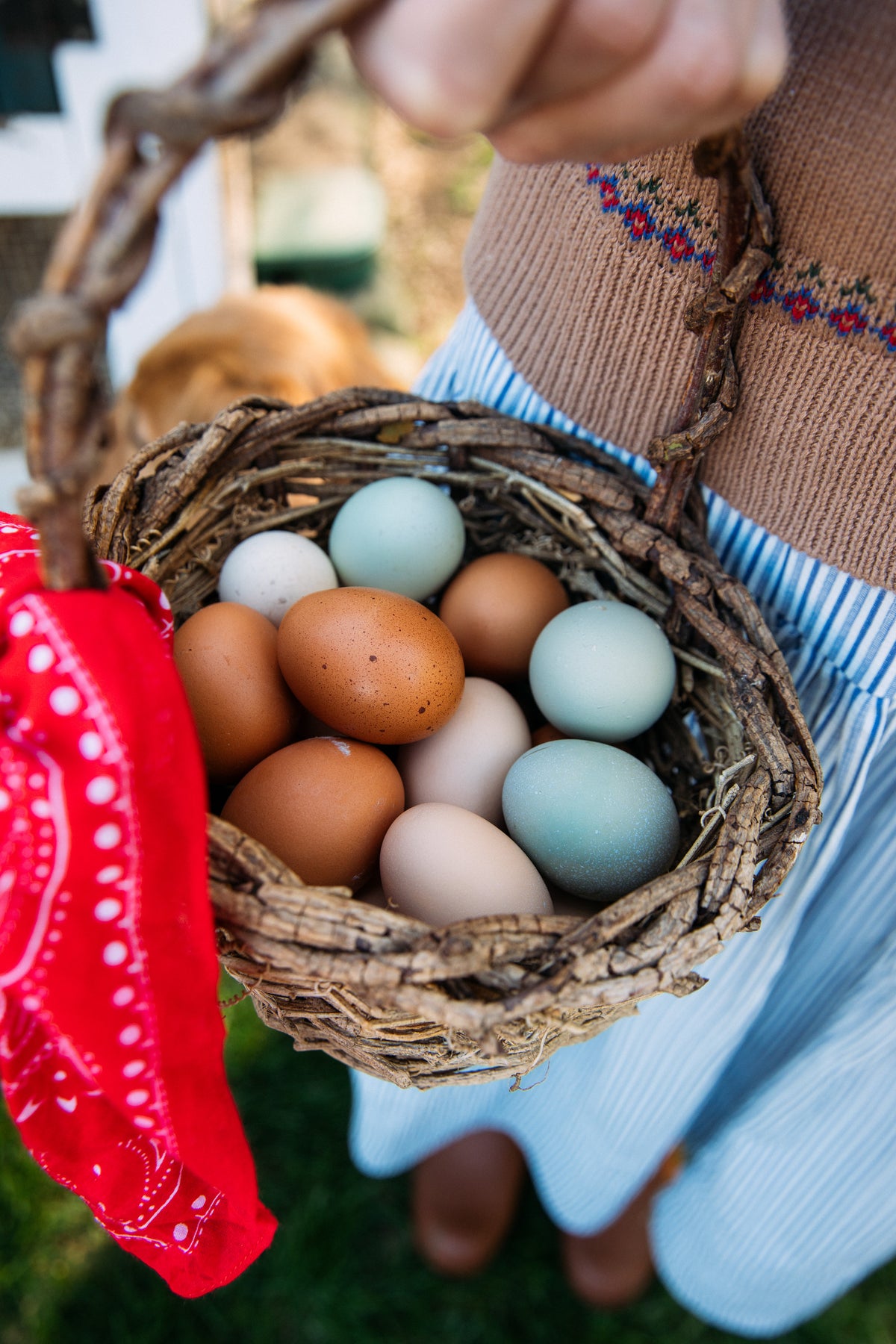 The Countryside Hen Fair Isle Cardigan