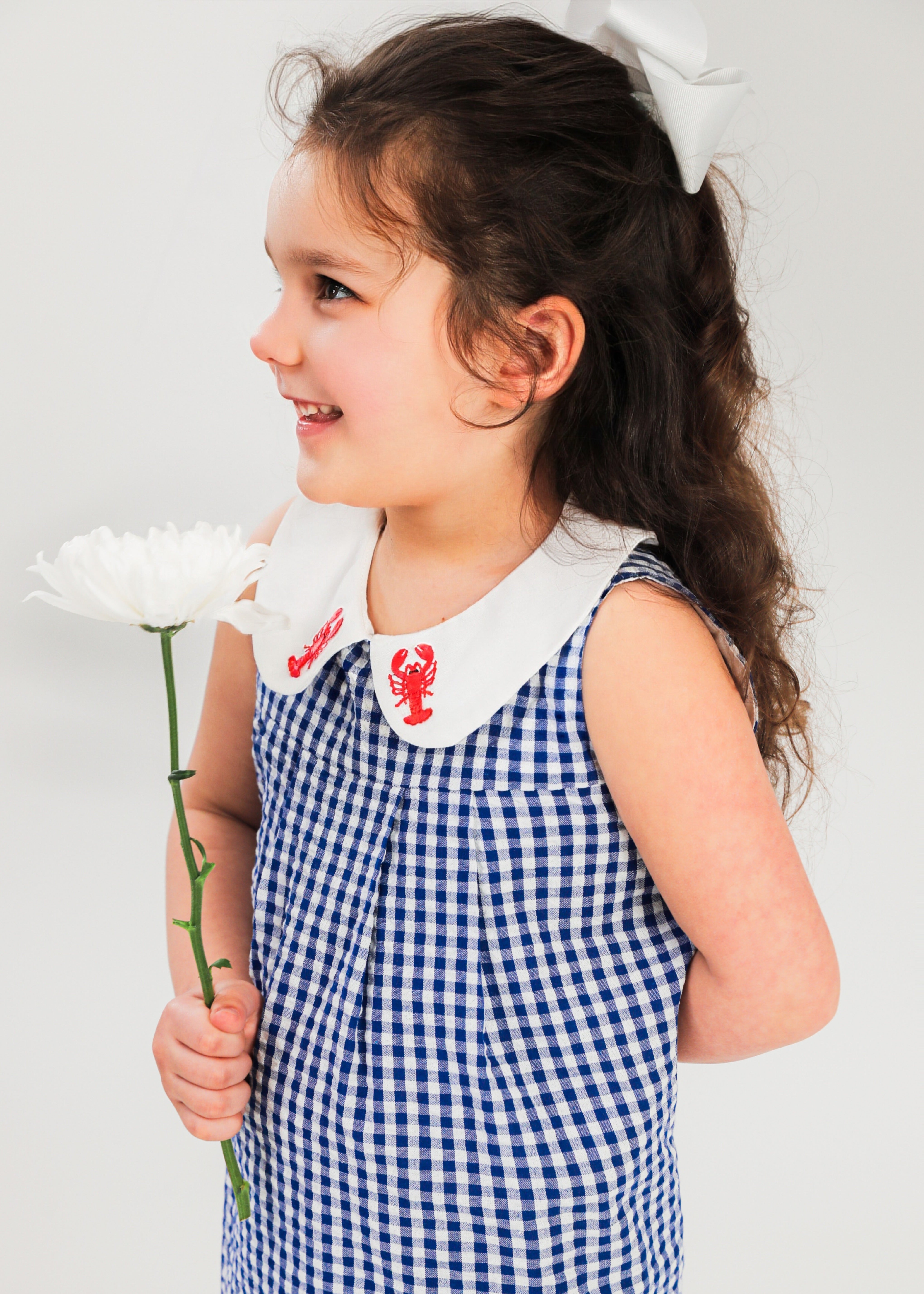 Diane Gingham Embroidered Lobster Kids Dress