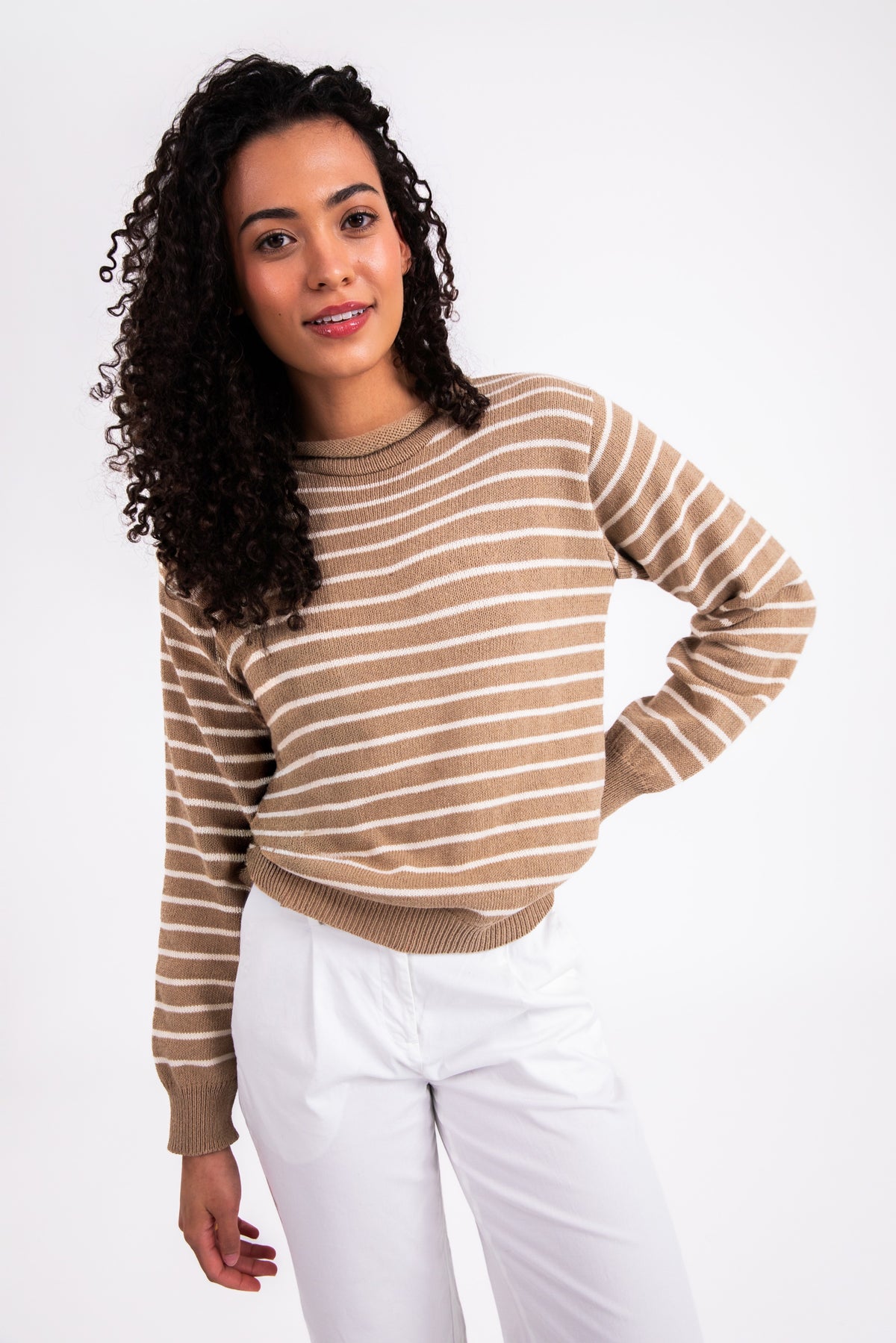 Dockside Stripe Rollneck Sweater