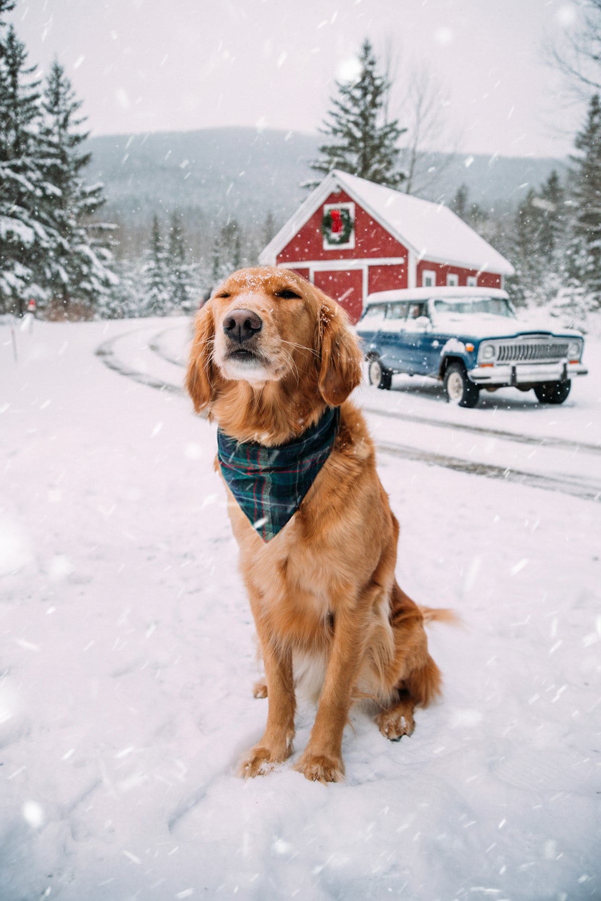 Highland Harvest Flannel Dog Bandana