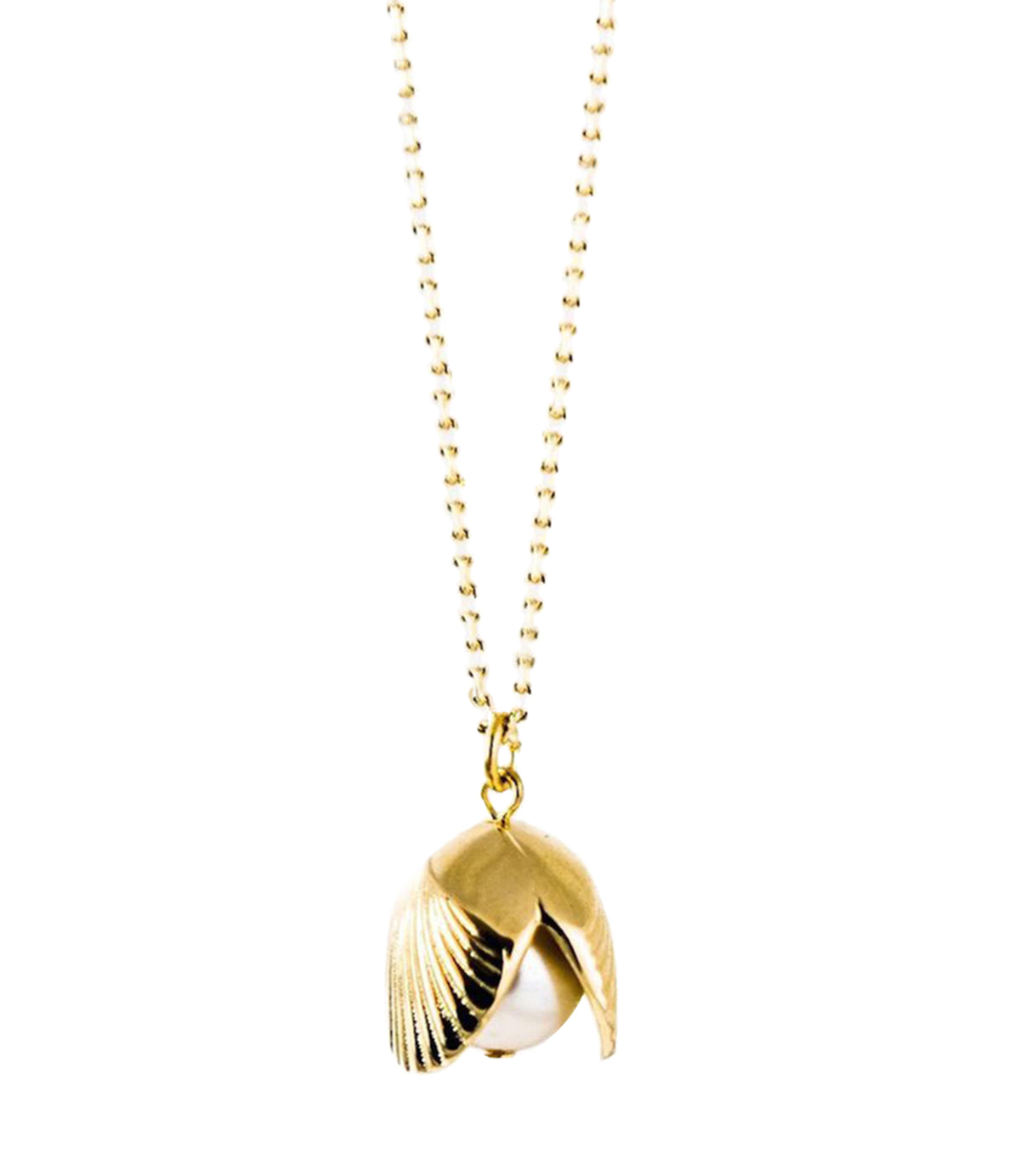 Little Shellfish Necklace