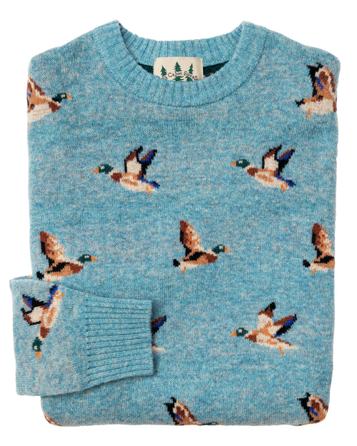 Mallard Field Sweater in Light Blue