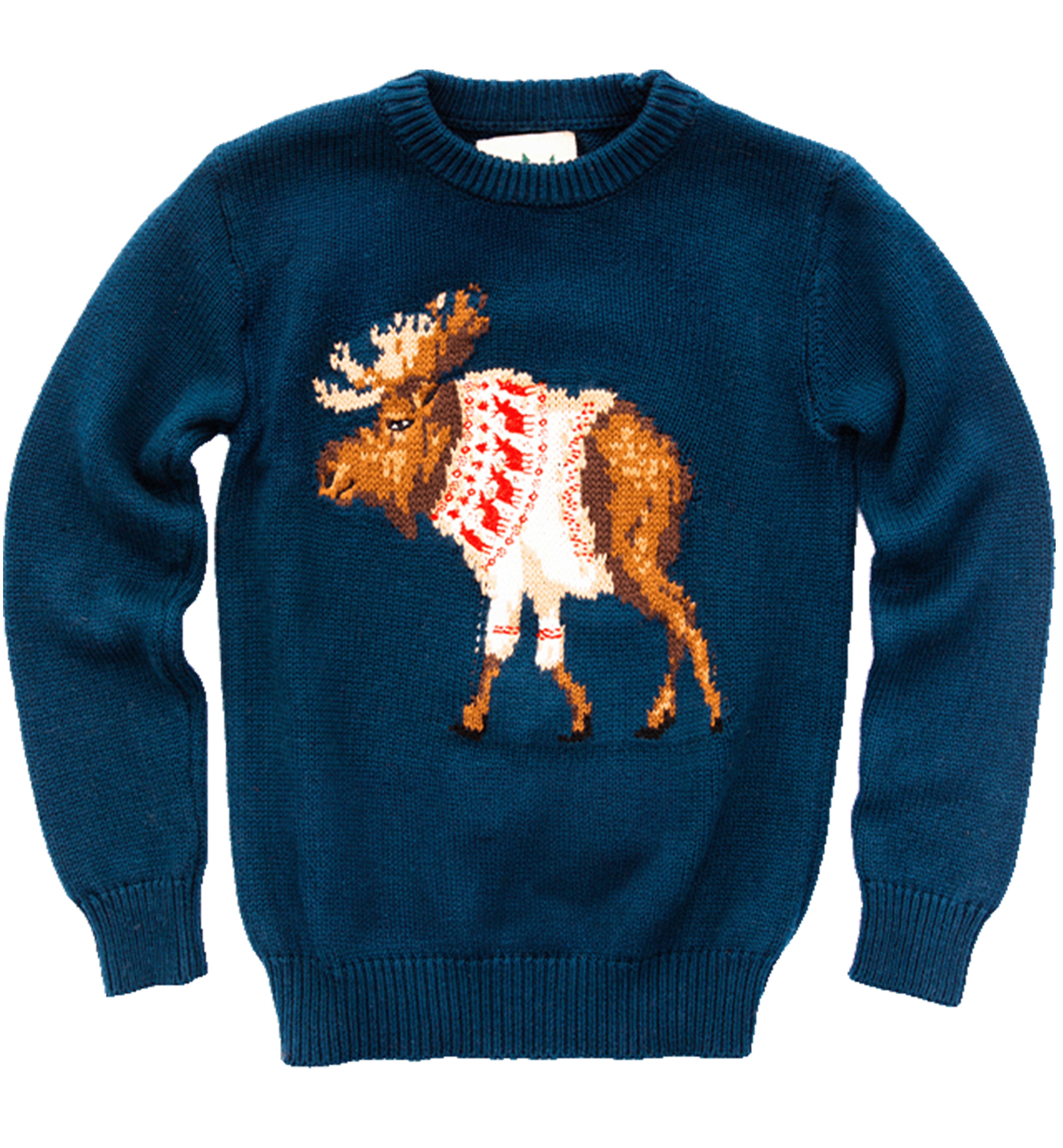 The McCallister Moose Kids Sweater