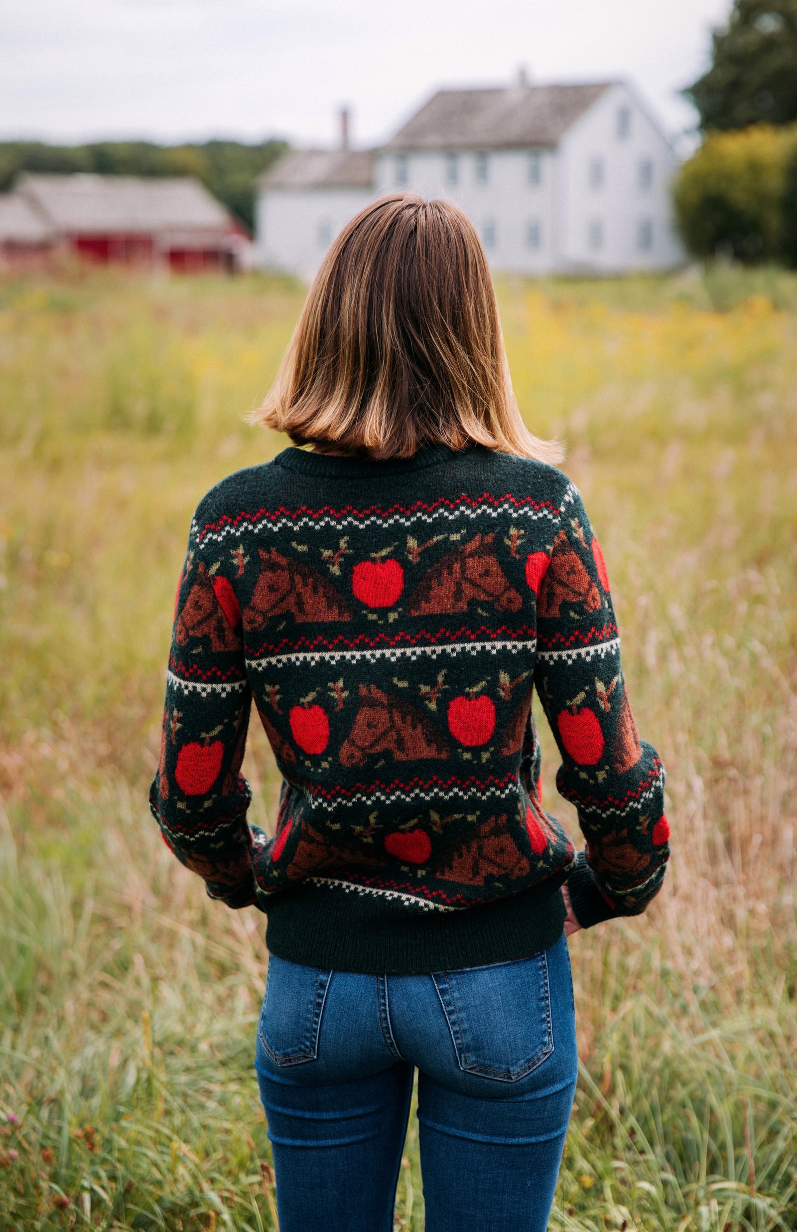 KJP Women's Orchard Horse Fair Isle Crewneck Fall Sweater – Kiel