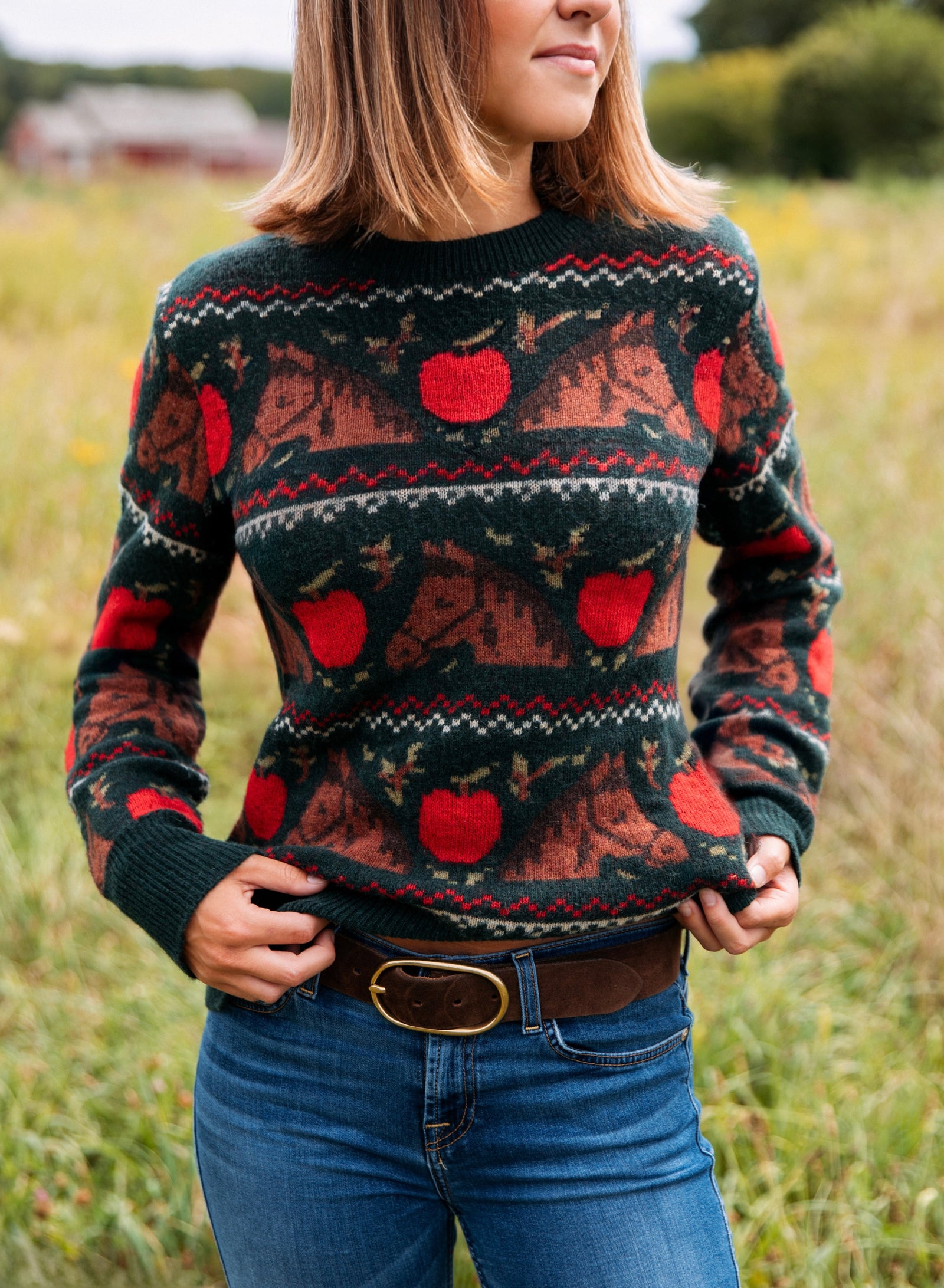 KJP Women's Orchard Horse Fair Isle Crewneck Fall Sweater – Kiel