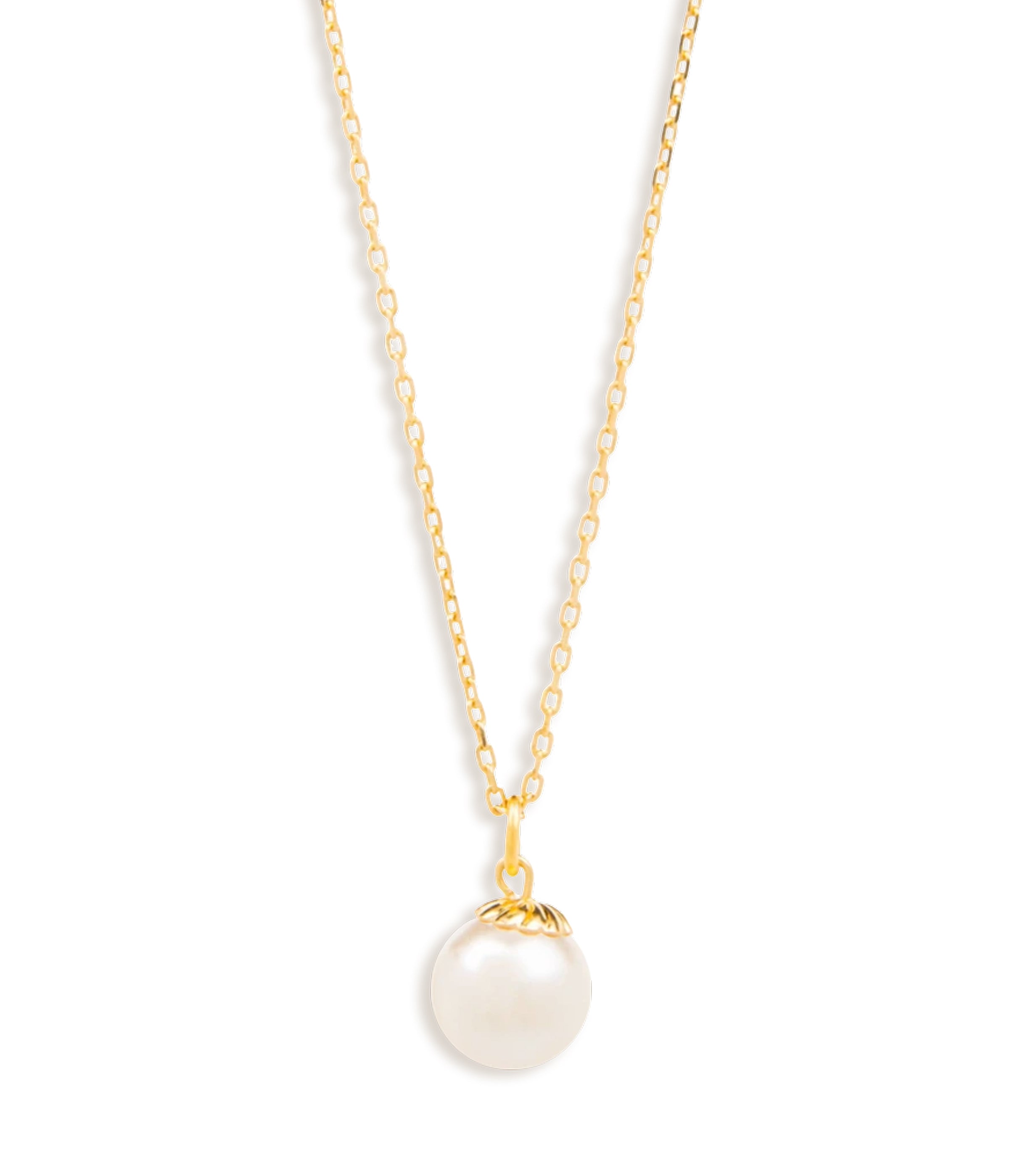 Oyster Elegance Necklace