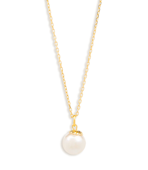 Oyster Elegance Necklace