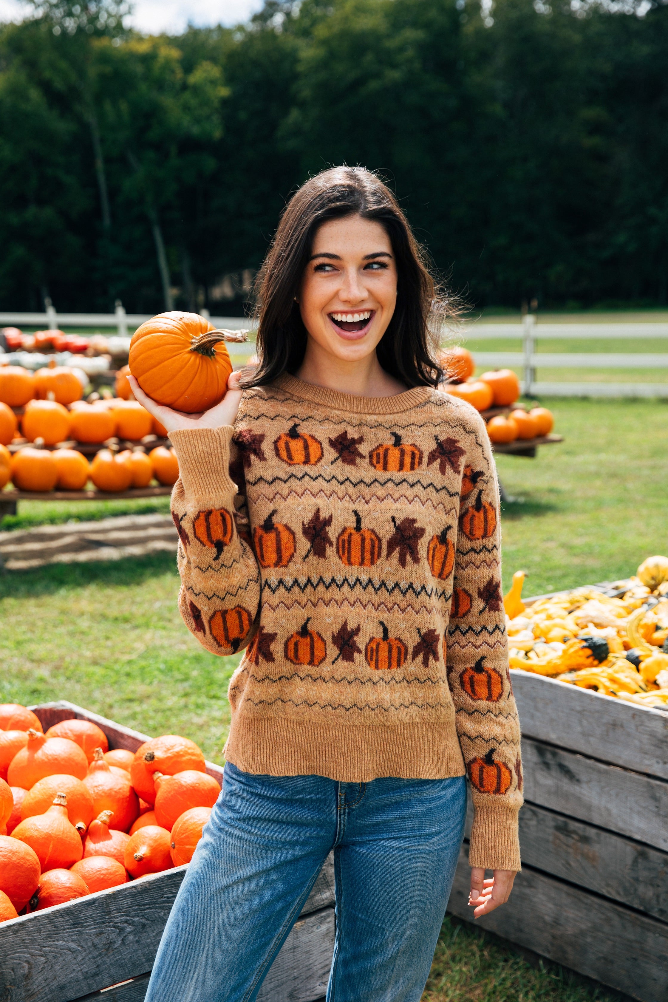 KJP Women's Pumpkin Ridge Fair Isle Crewneck Fall Sweater – Kiel James ...