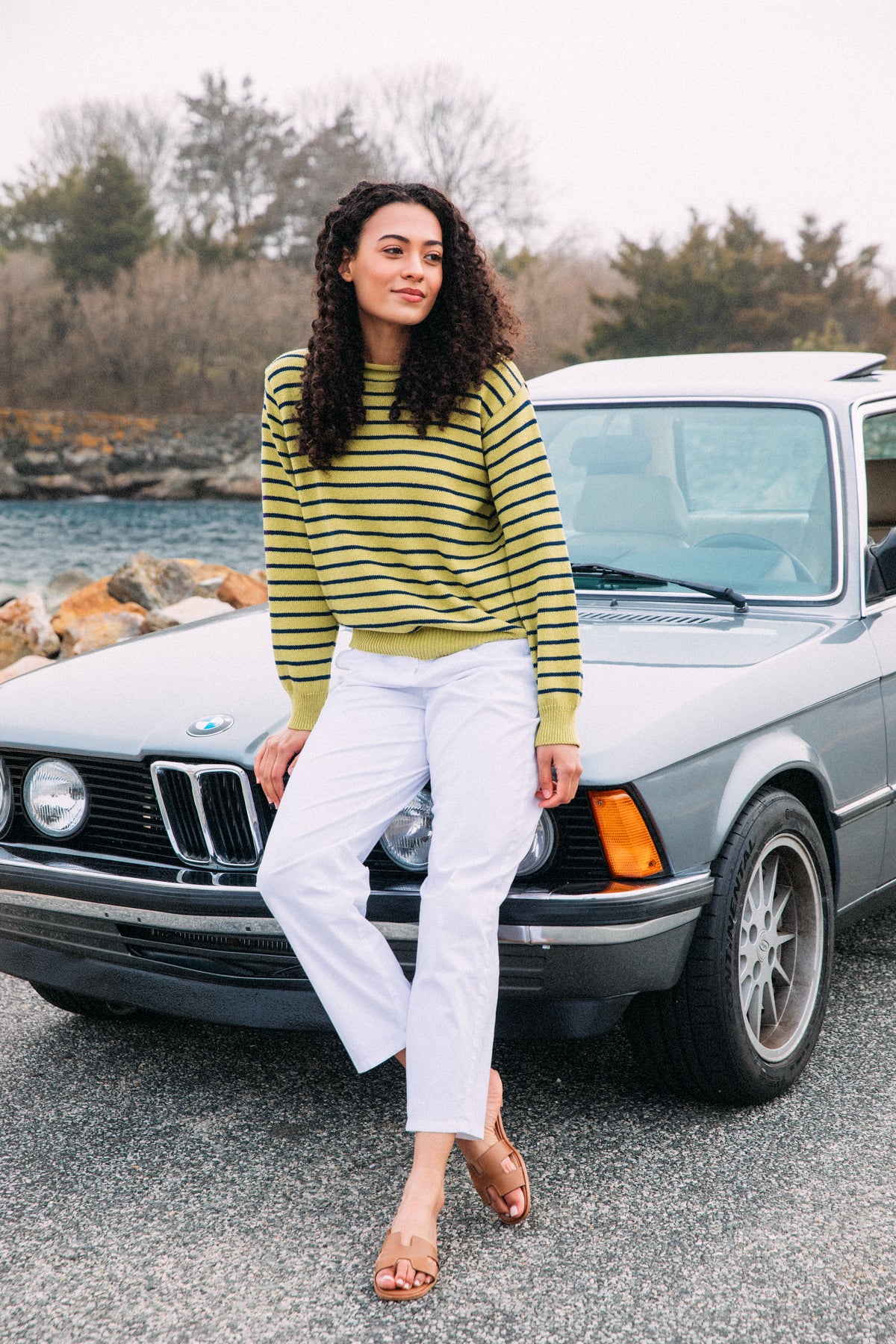 Sage Harbor Stripe Rollneck Sweater