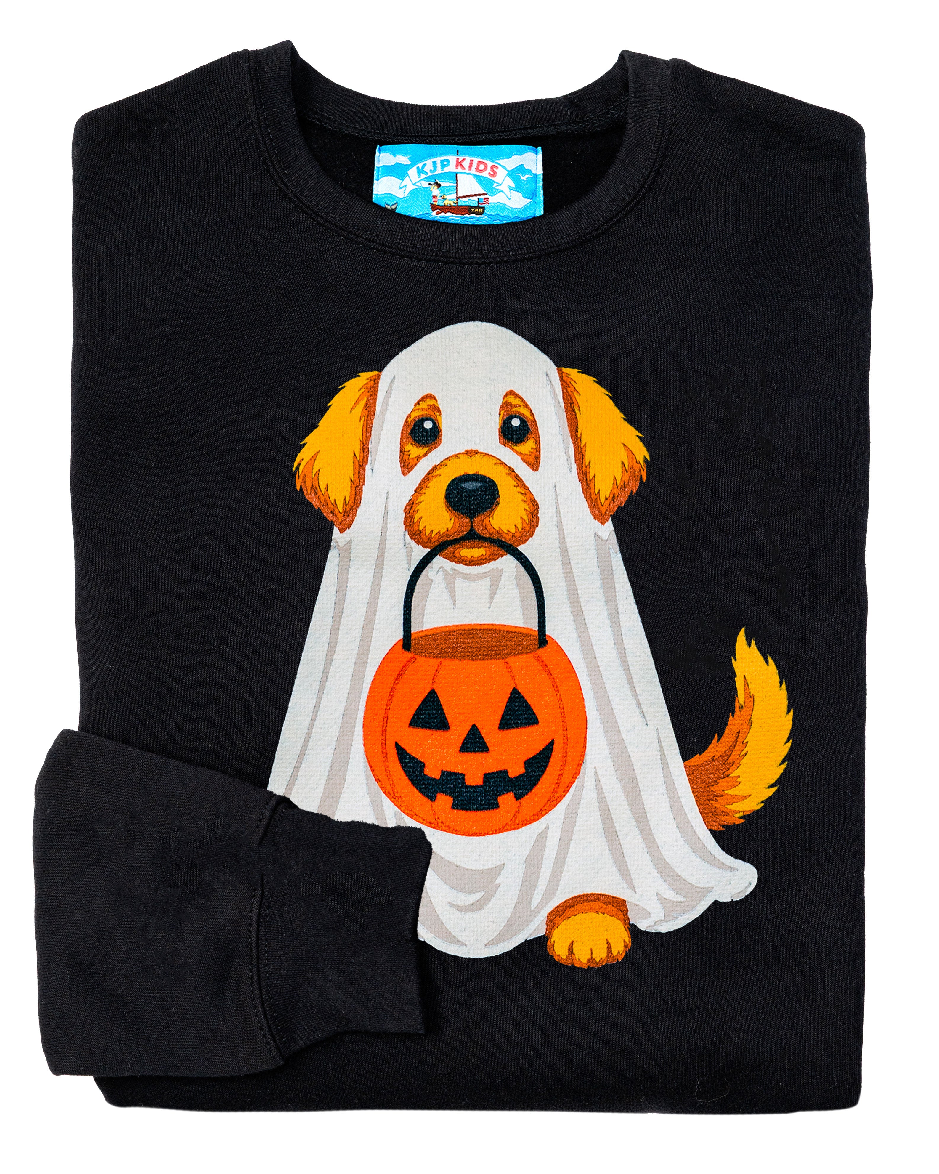 Spooky Dog Kids Sweatshirt