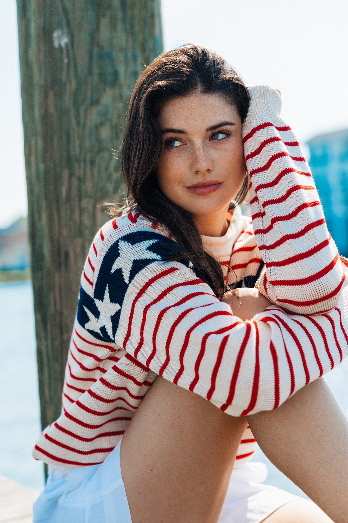 Stars & Stripes Rollneck Sweater