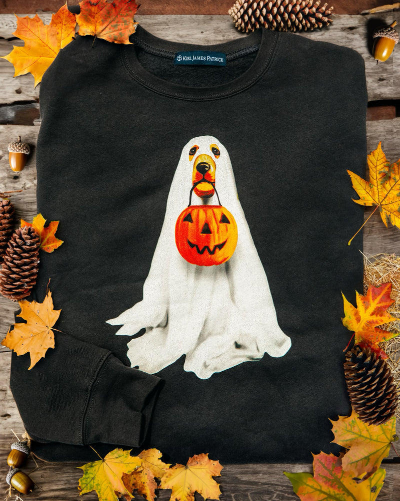 Trick or Treat Sweatshirt