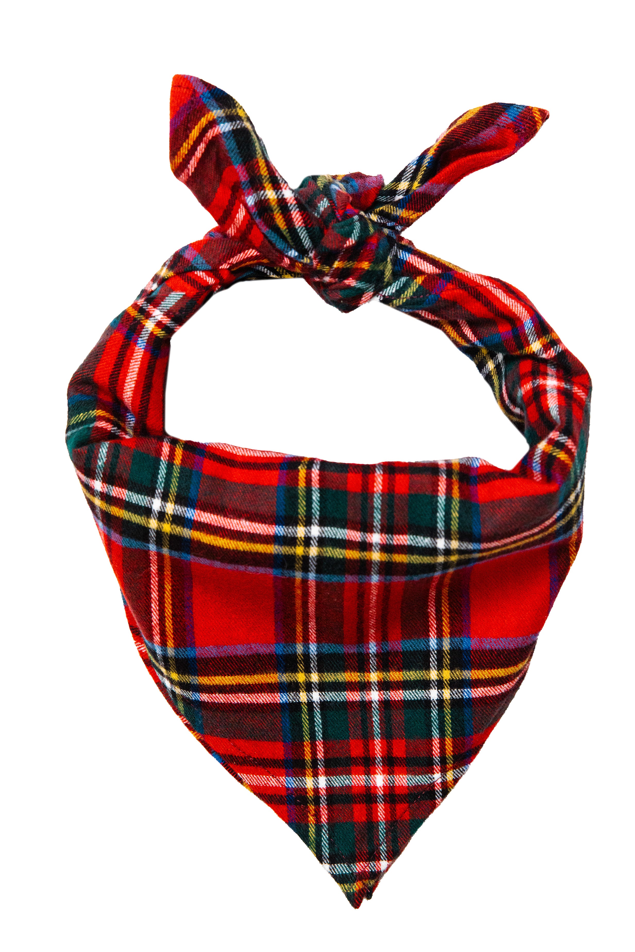 Winter Spice Flannel Dog Bandana