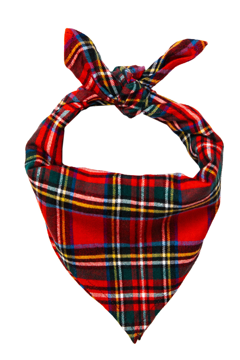 Winter Spice Flannel Dog Bandana