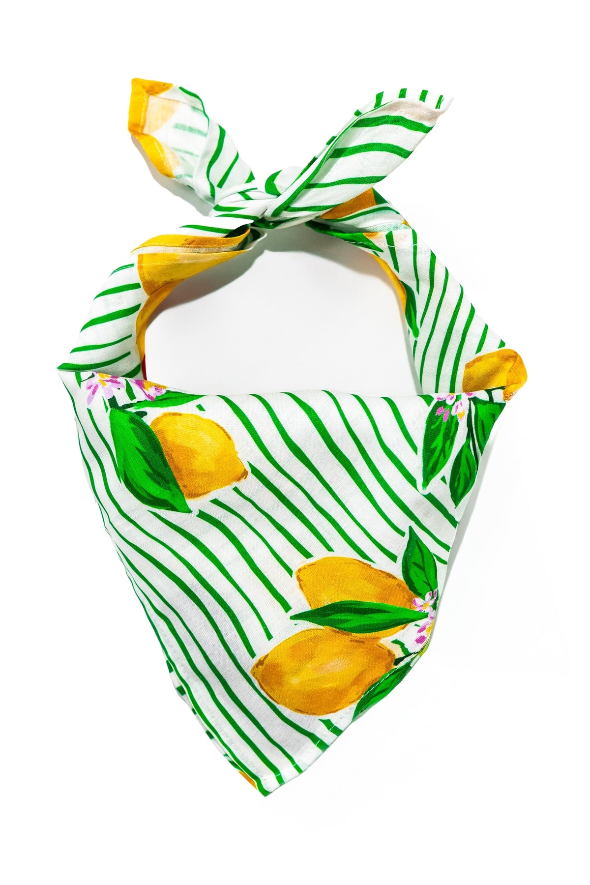 Lemon Blossom Dog Bandana